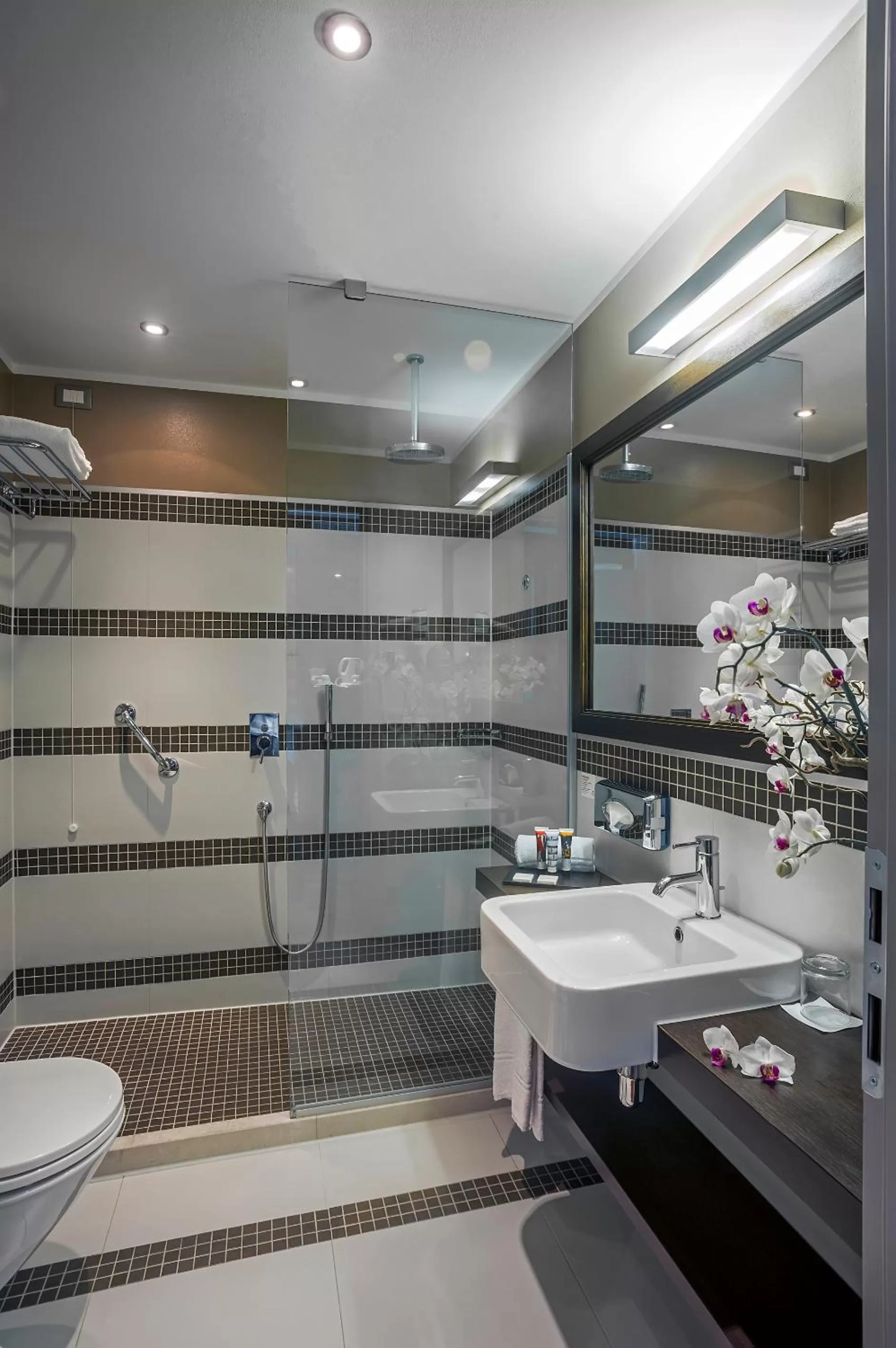 Shower in Ramada Plaza by Wyndham Milano