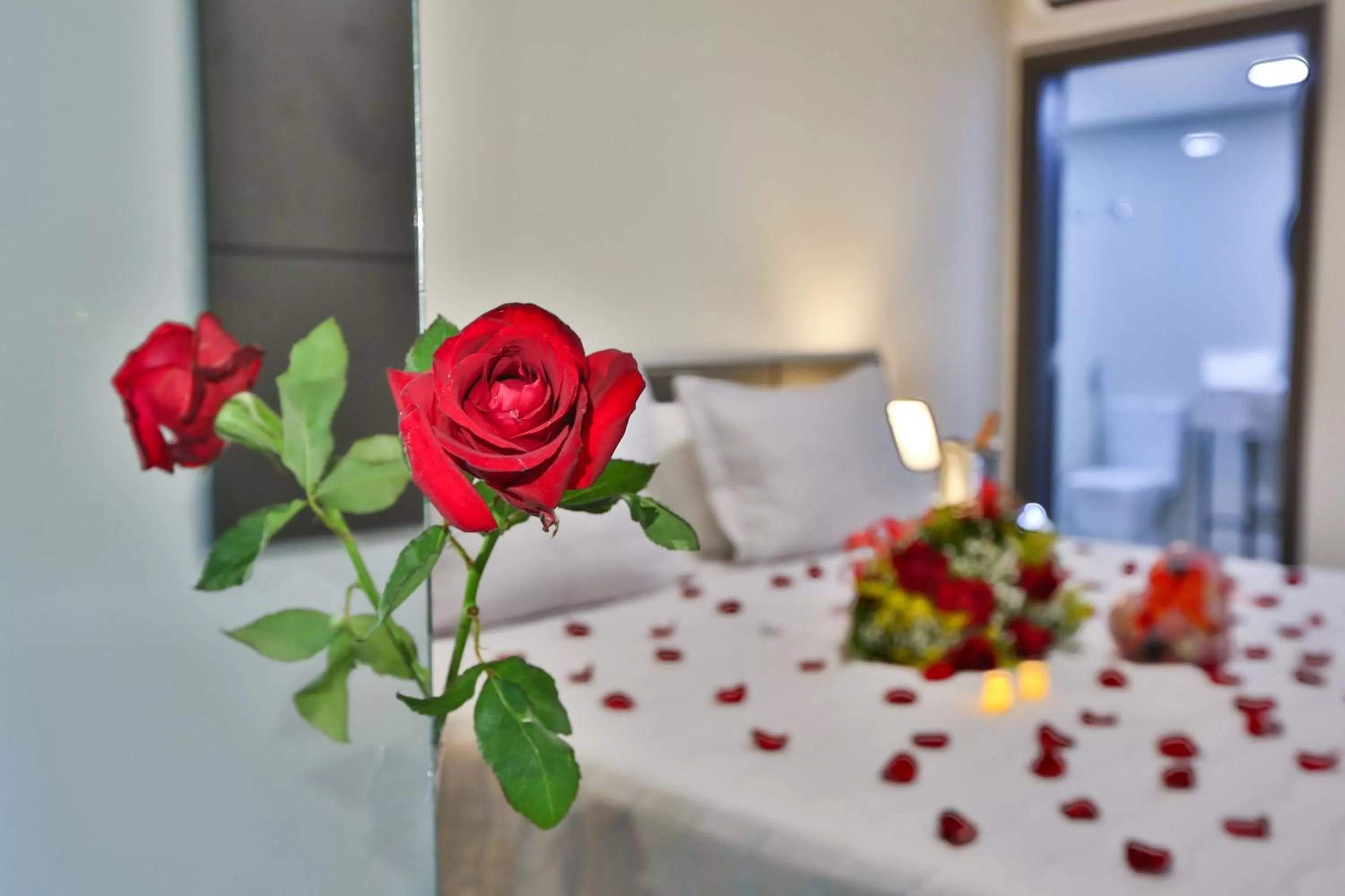 Other in Executive Inn Fernandopolis