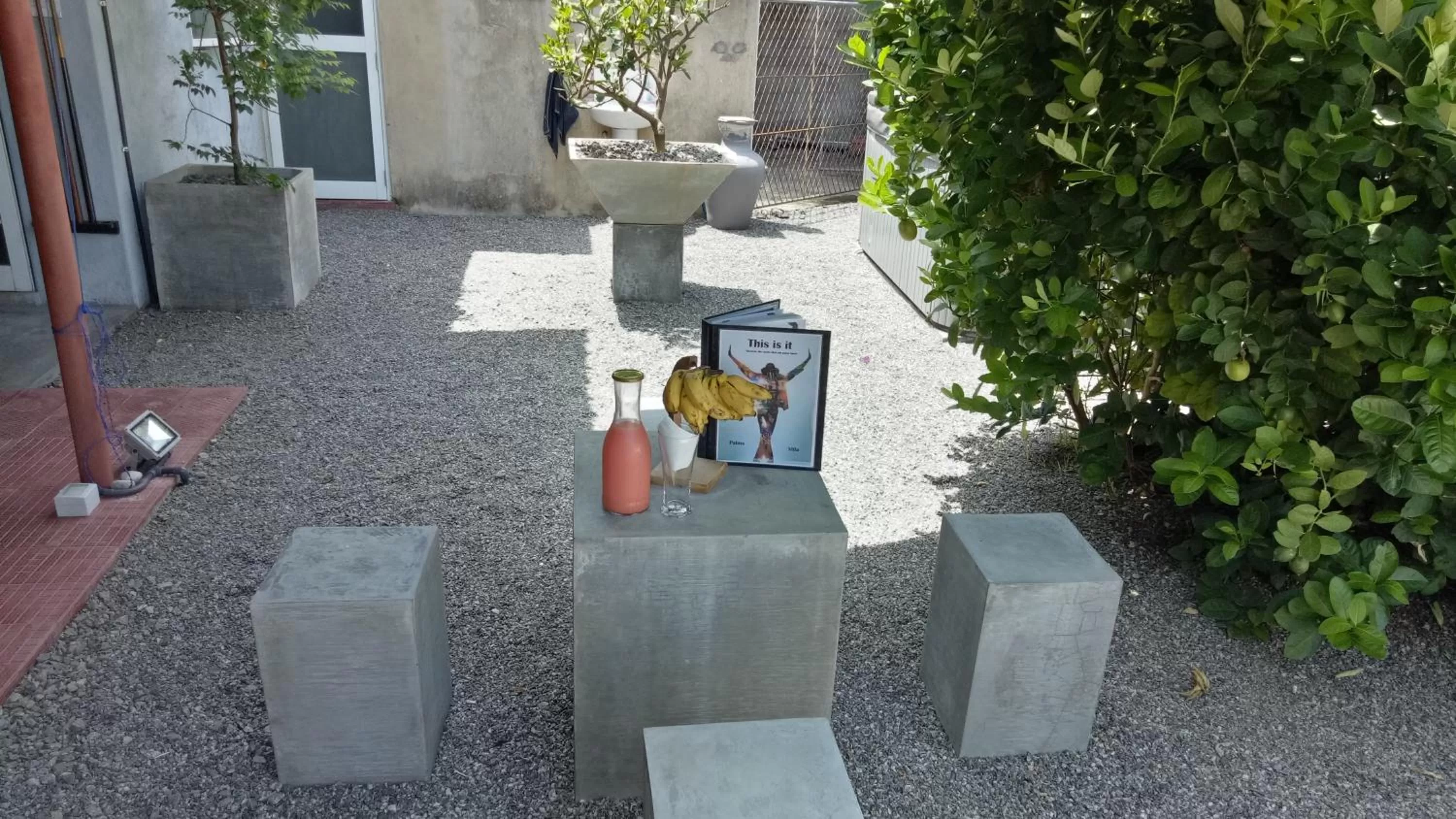 Garden in Palms Villa