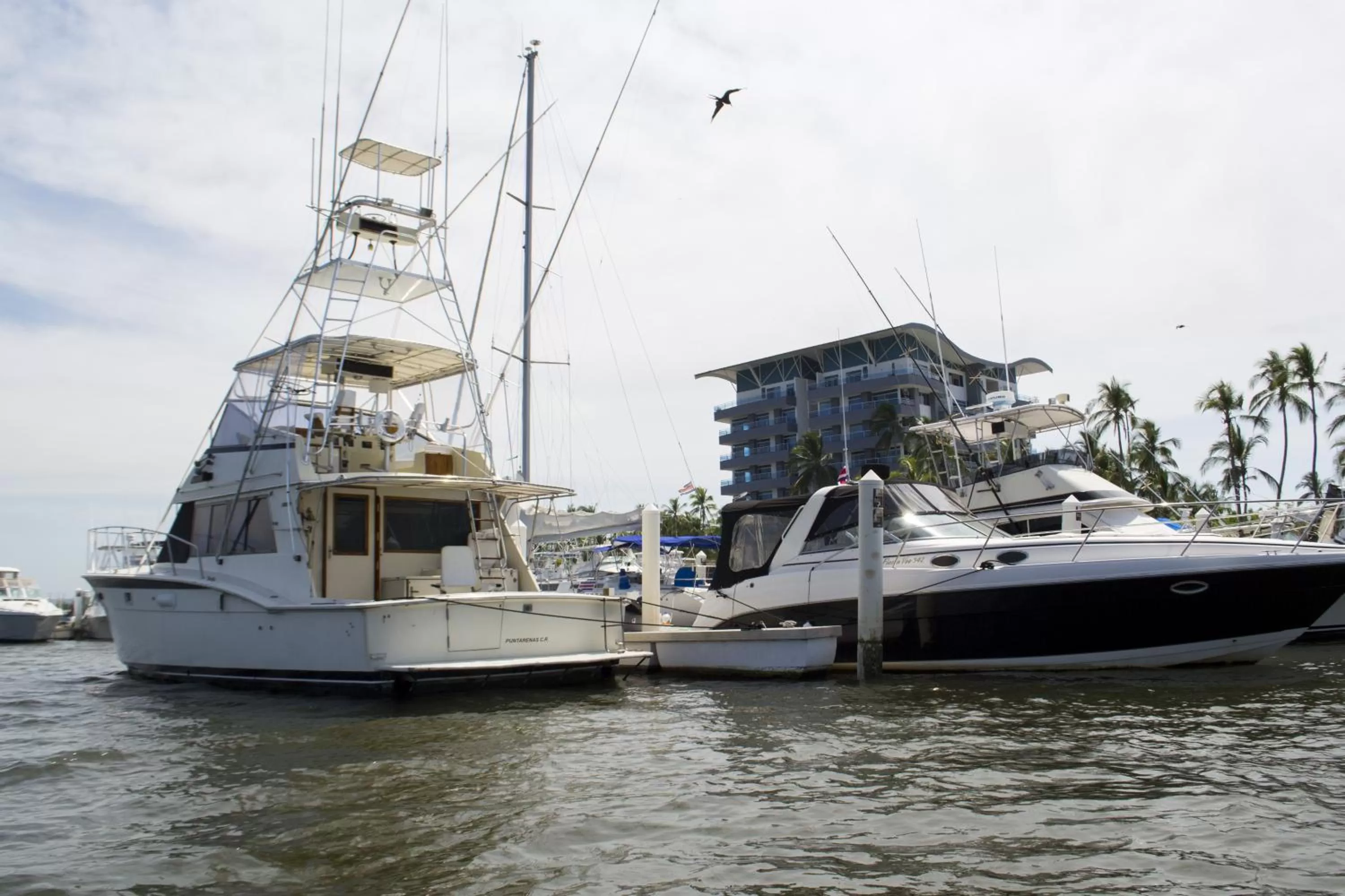 Sea view in Puerto Azul Hotel