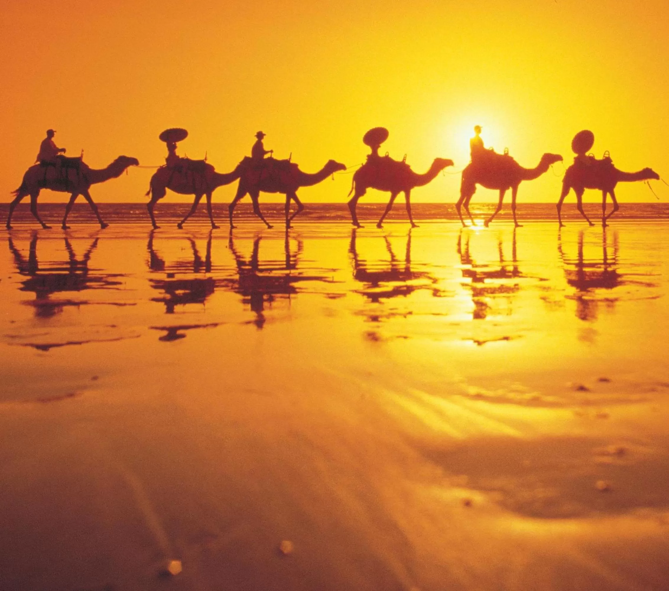 Area and facilities in Mantra Frangipani Broome