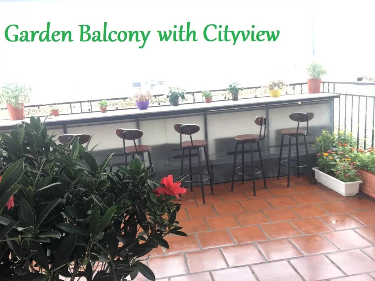 Balcony/Terrace in Golden Sun Hotel