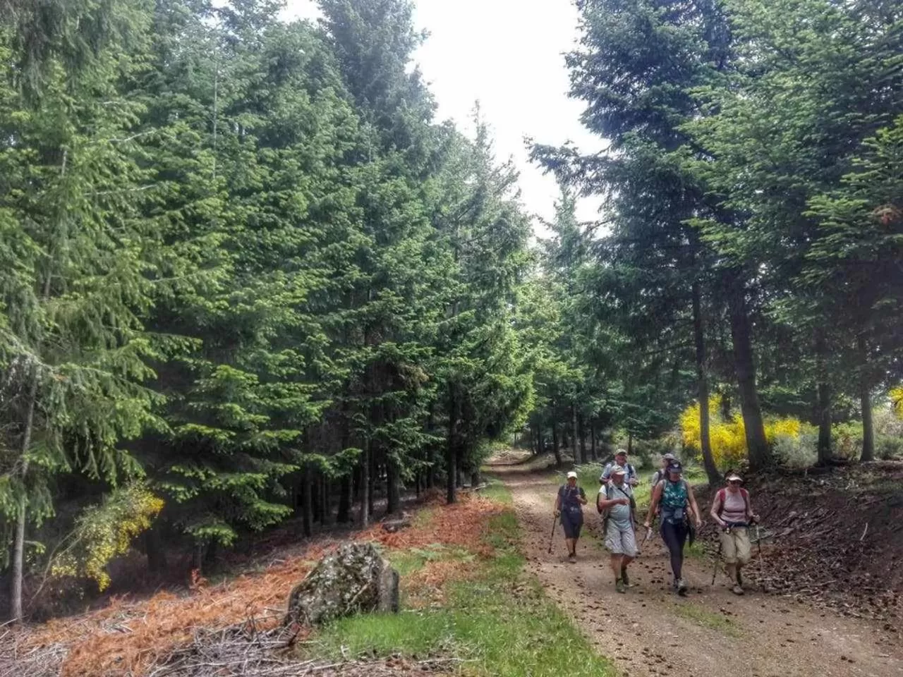 People in Casa de Santa Ana da Beira