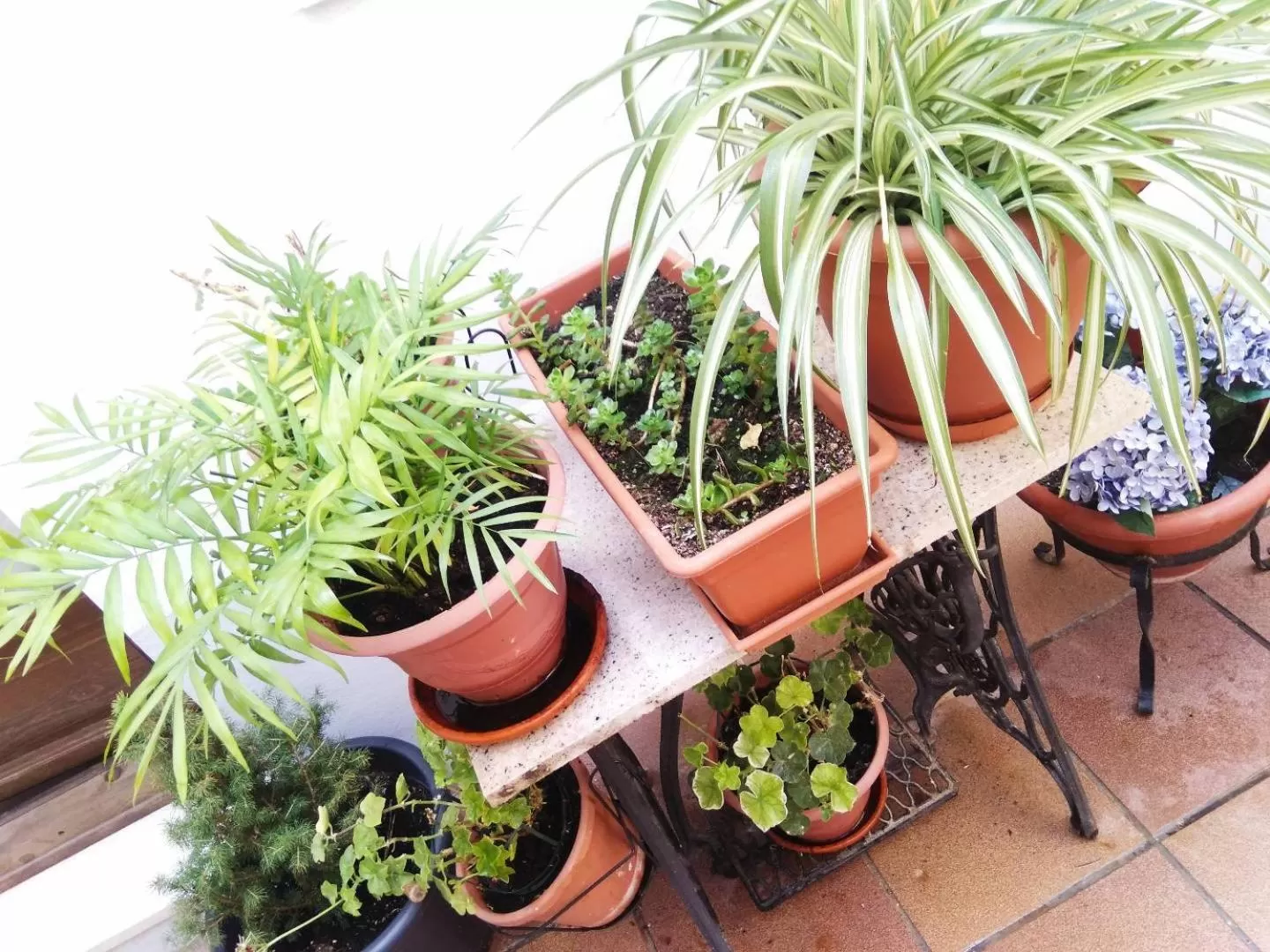 Area and facilities in Hostal La Ribera del Júcar