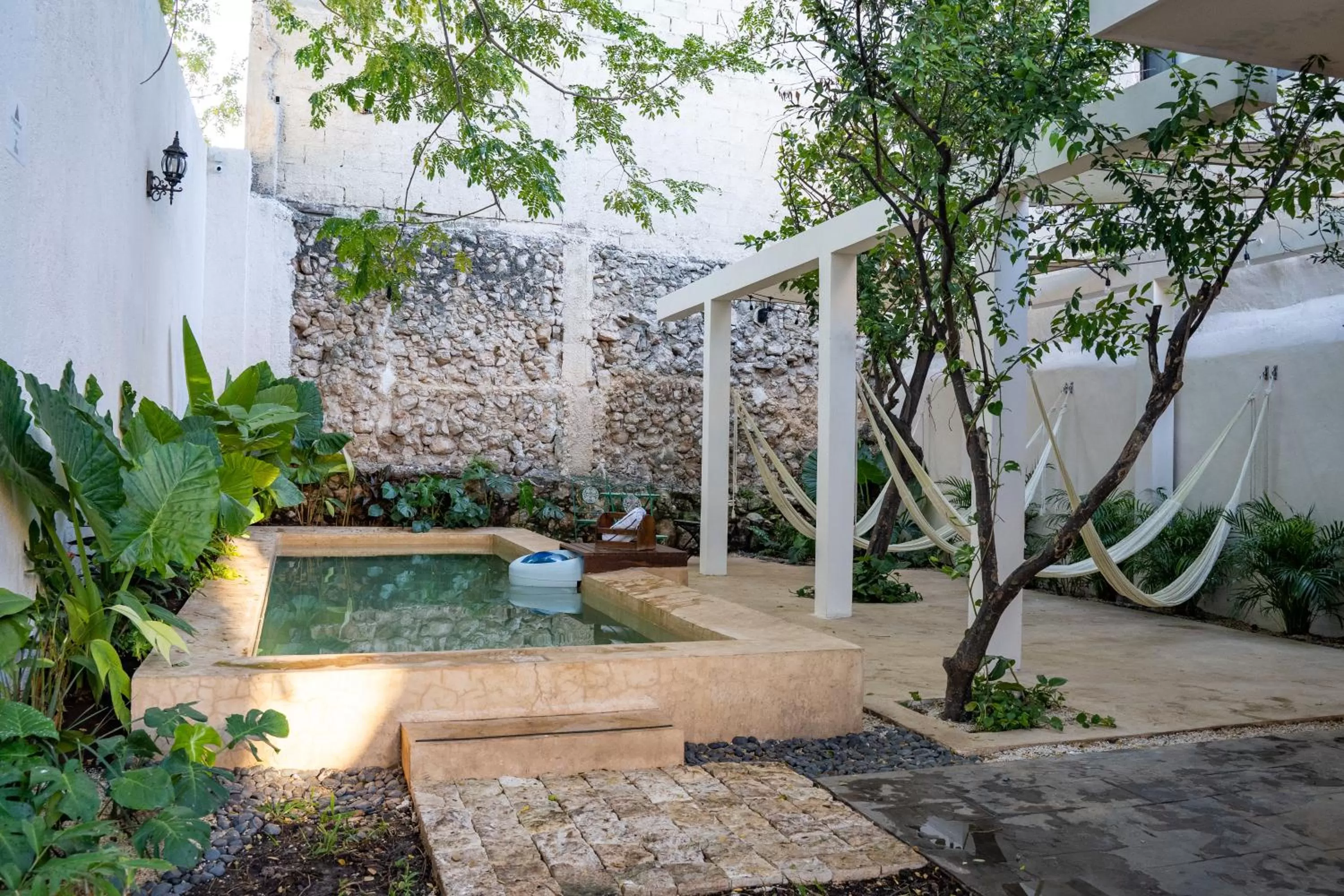 Garden in Hotel & Hostal Boutique Casa Garza