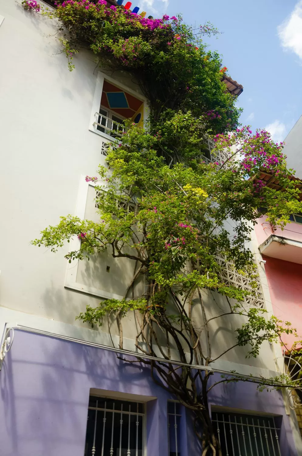 Pousada e Hostel Chez Marianne