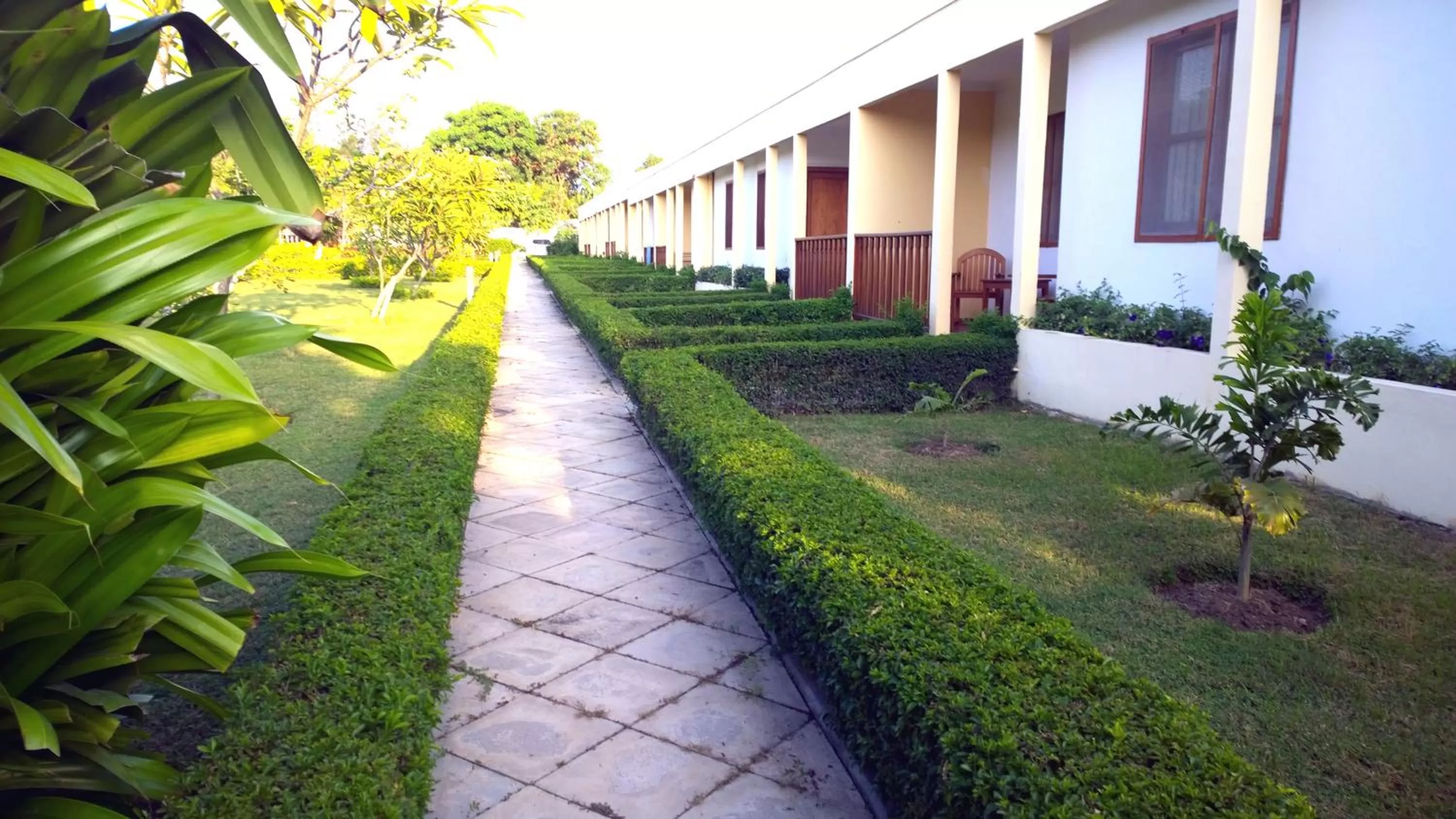 Garden in Malinamoc Paradise