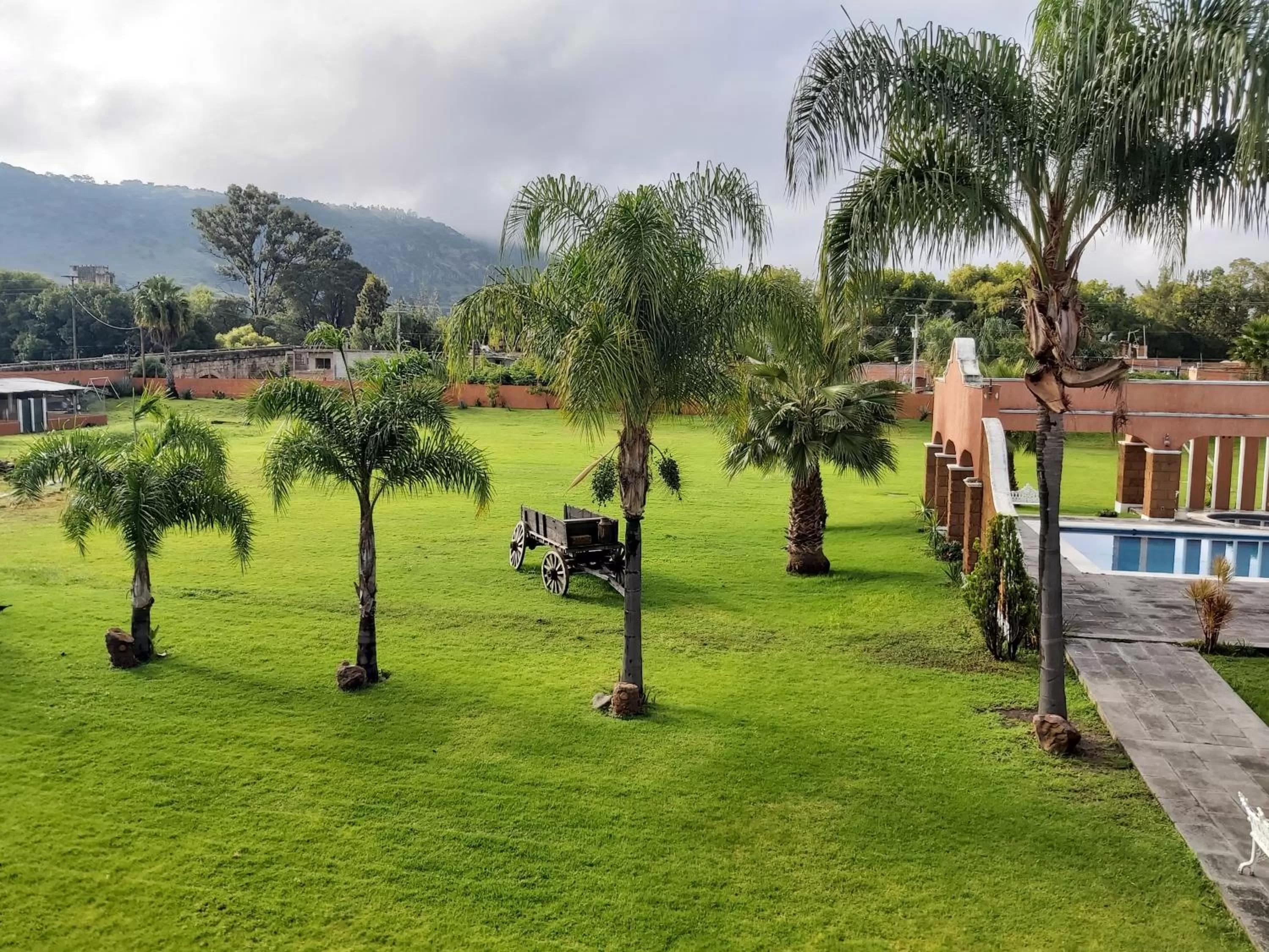 Garden in Hotel Meson del Puente