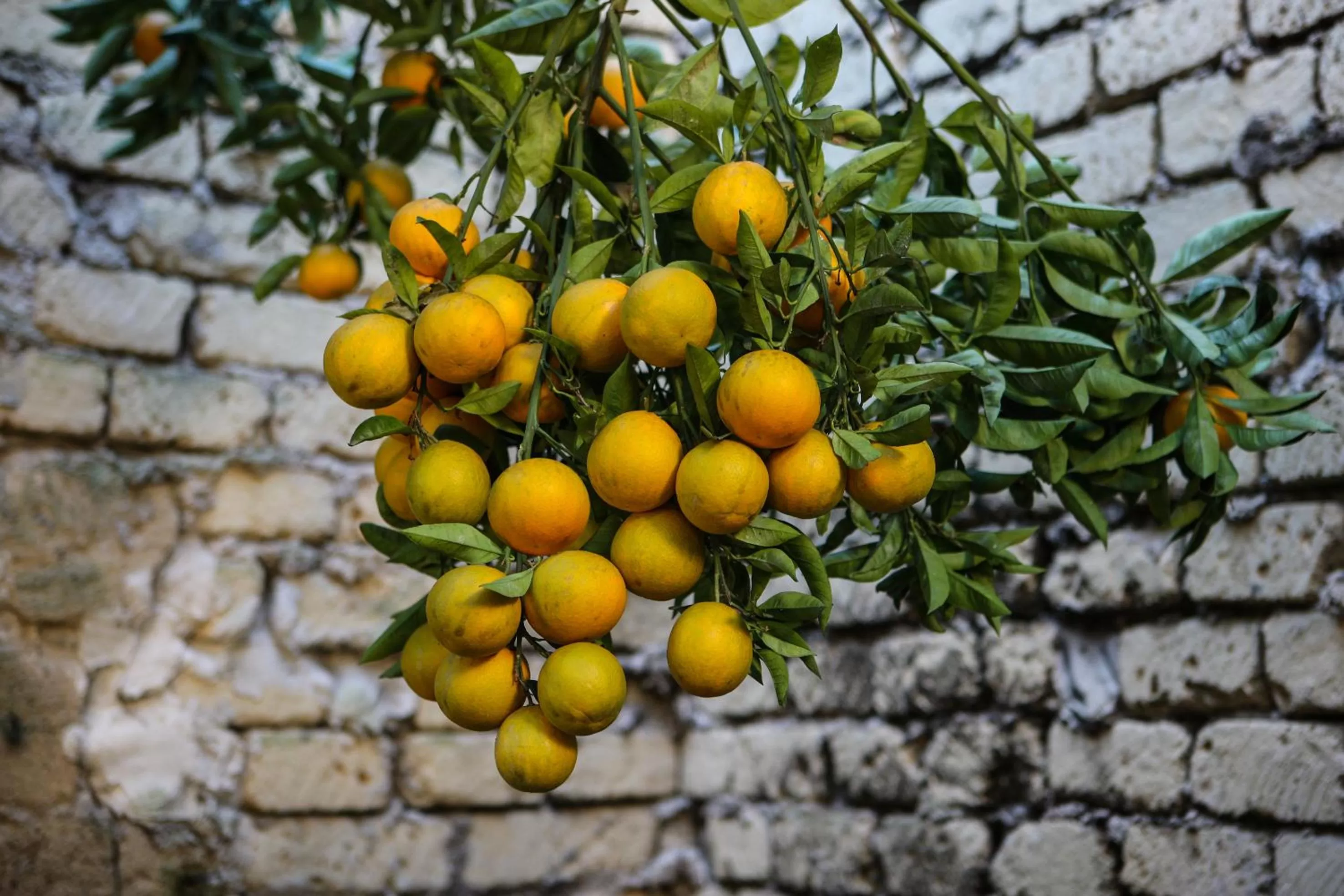 Grand Hotel Capodimonte