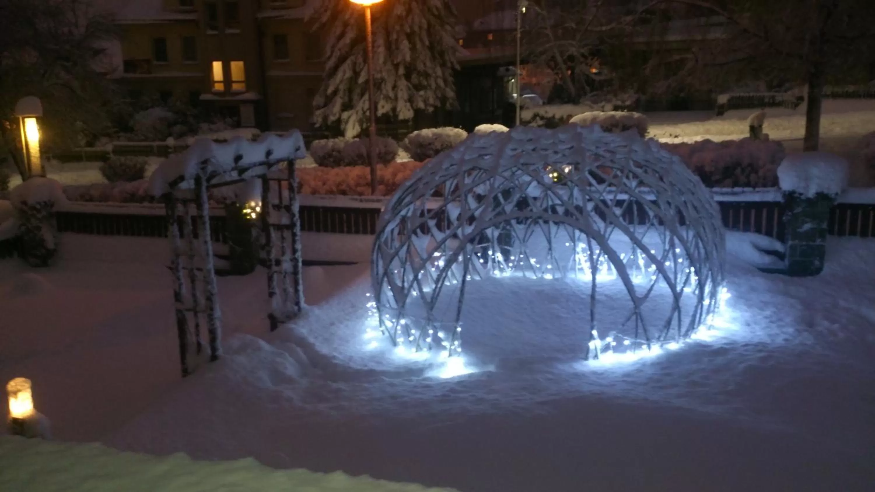 Garden in Hotel Alfa