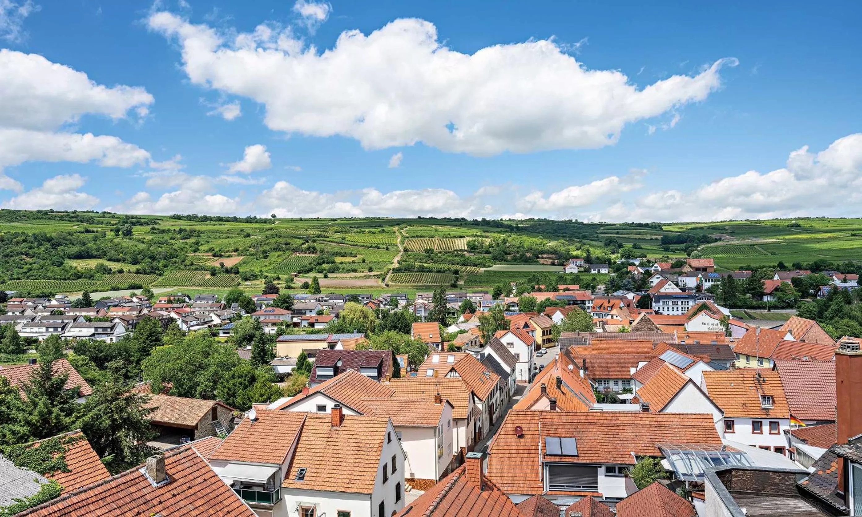 View (from property/room) in Pfalzhotel Asselheim