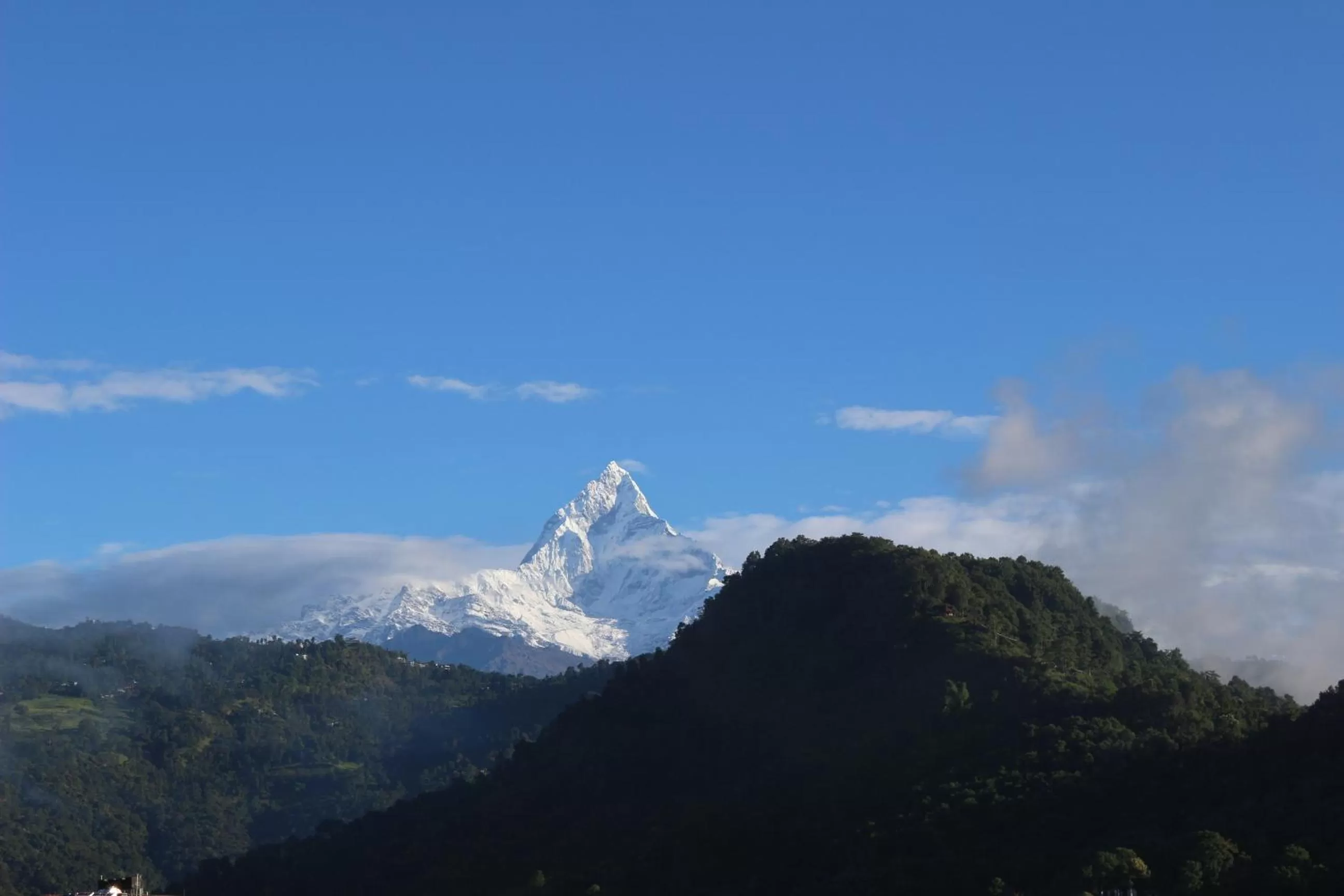 Mountain view in Hotel Buttercup