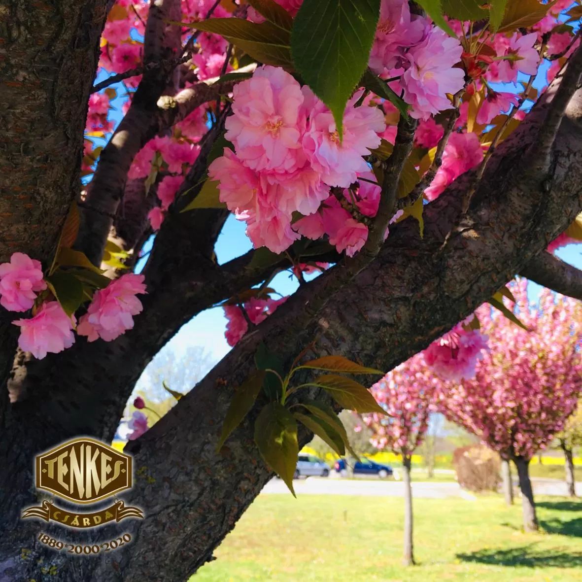 Tenkes Fogadó és Vendégház Harkány