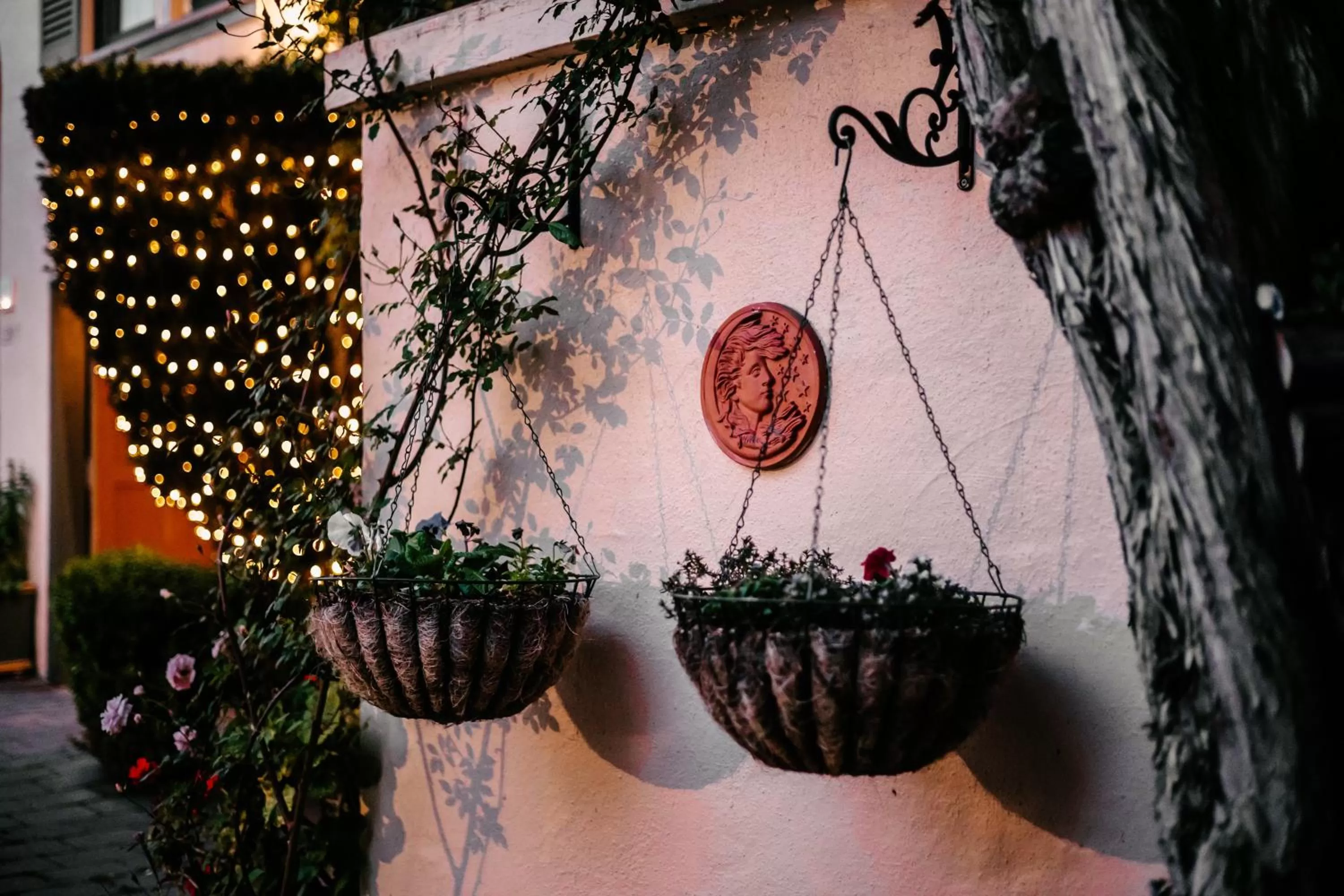 Garden in Marina Motel