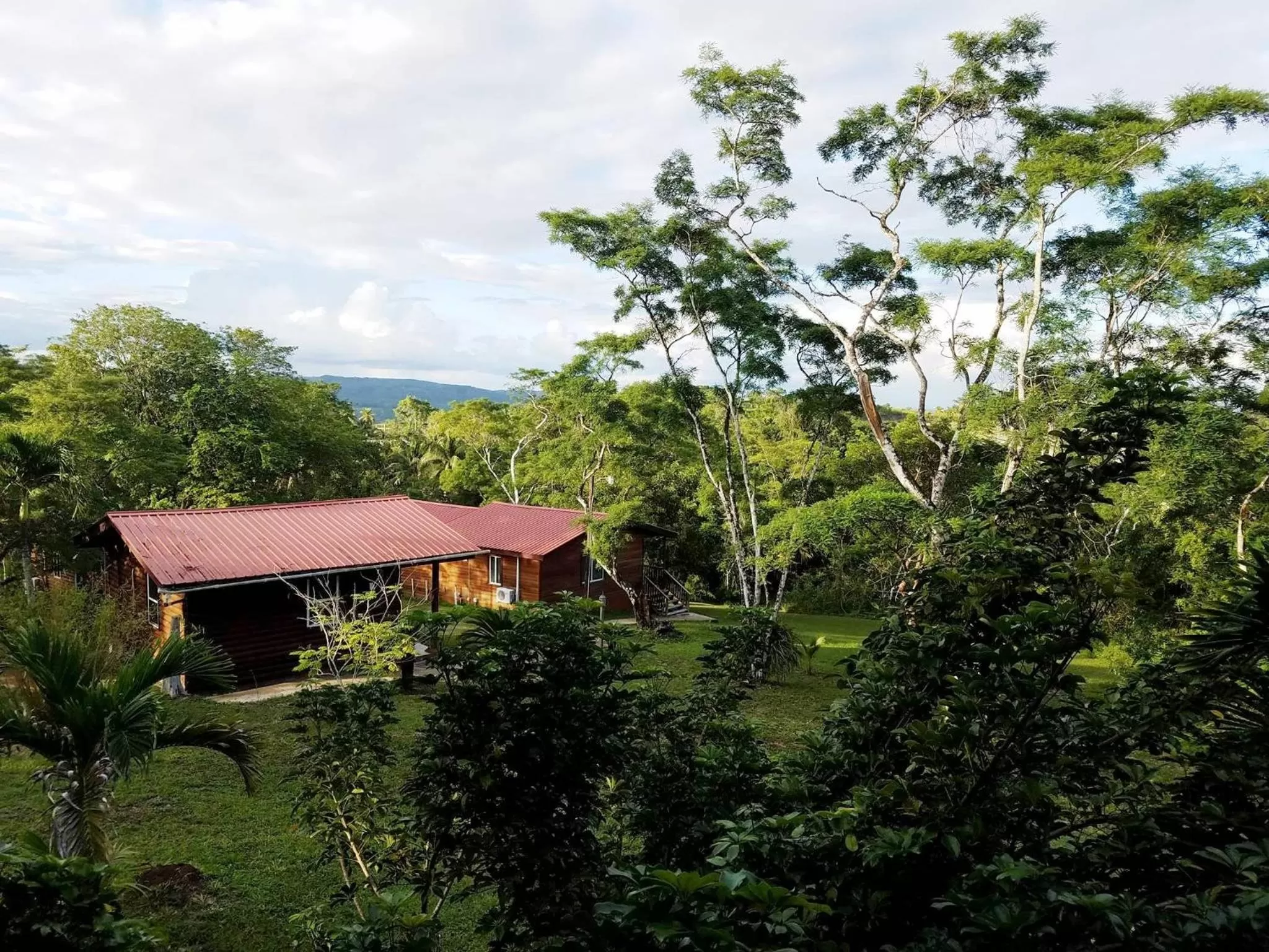 Day in The Log Cab-Inn