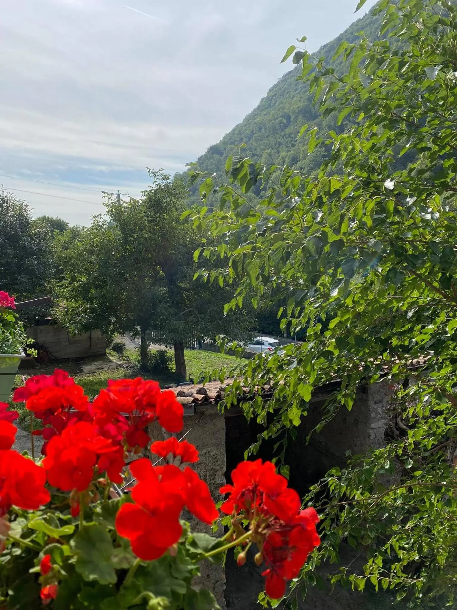 Balcony/Terrace in B&B La Corte del Segrino