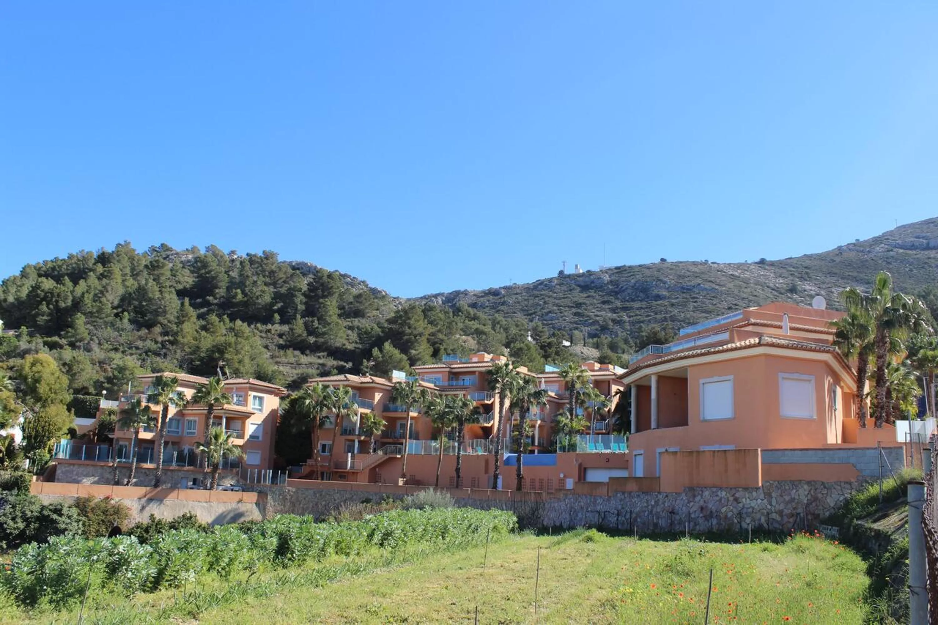 Property building in Apartamentos Flamingo Hills