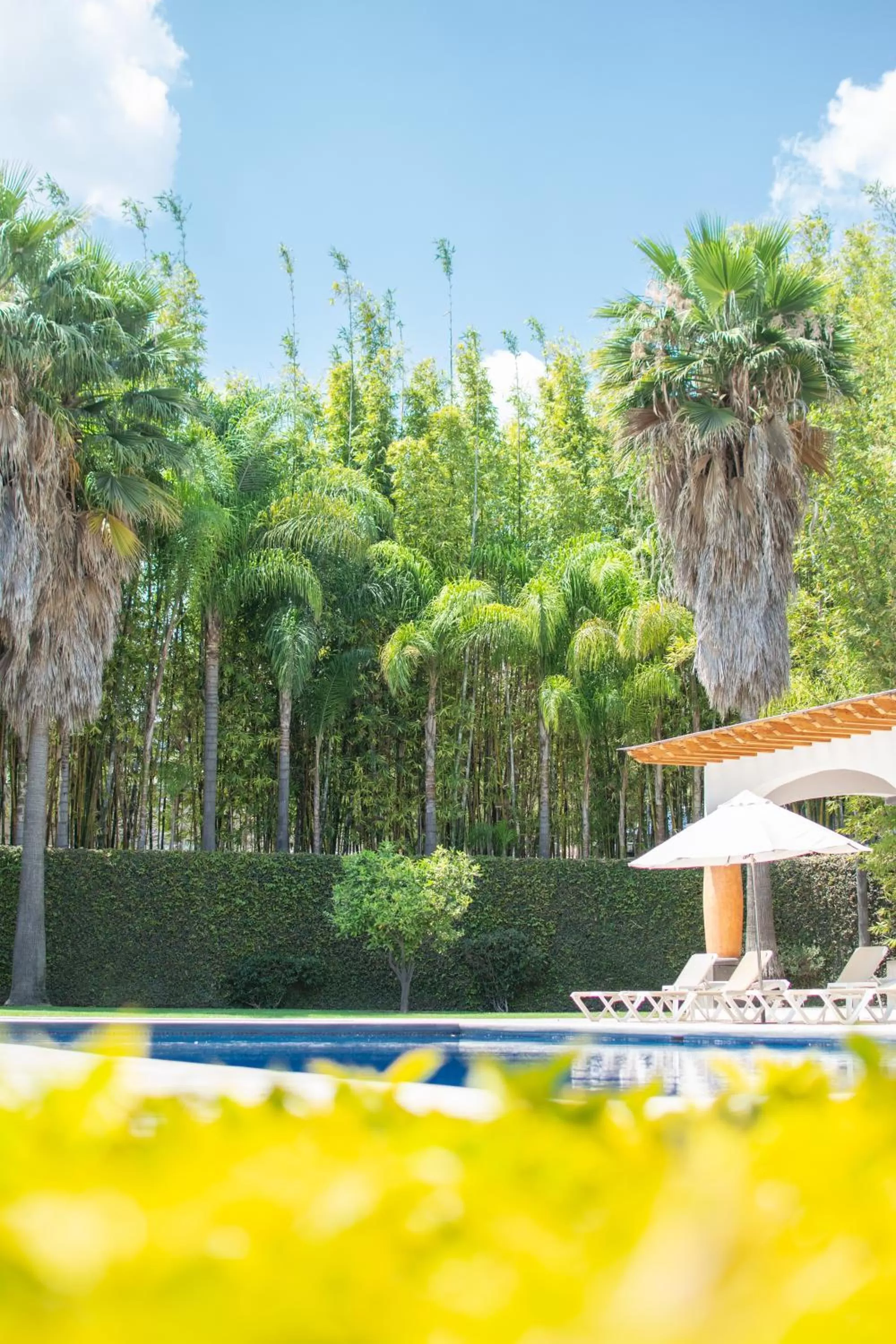 Swimming pool in Hotel Hacienda la Venta