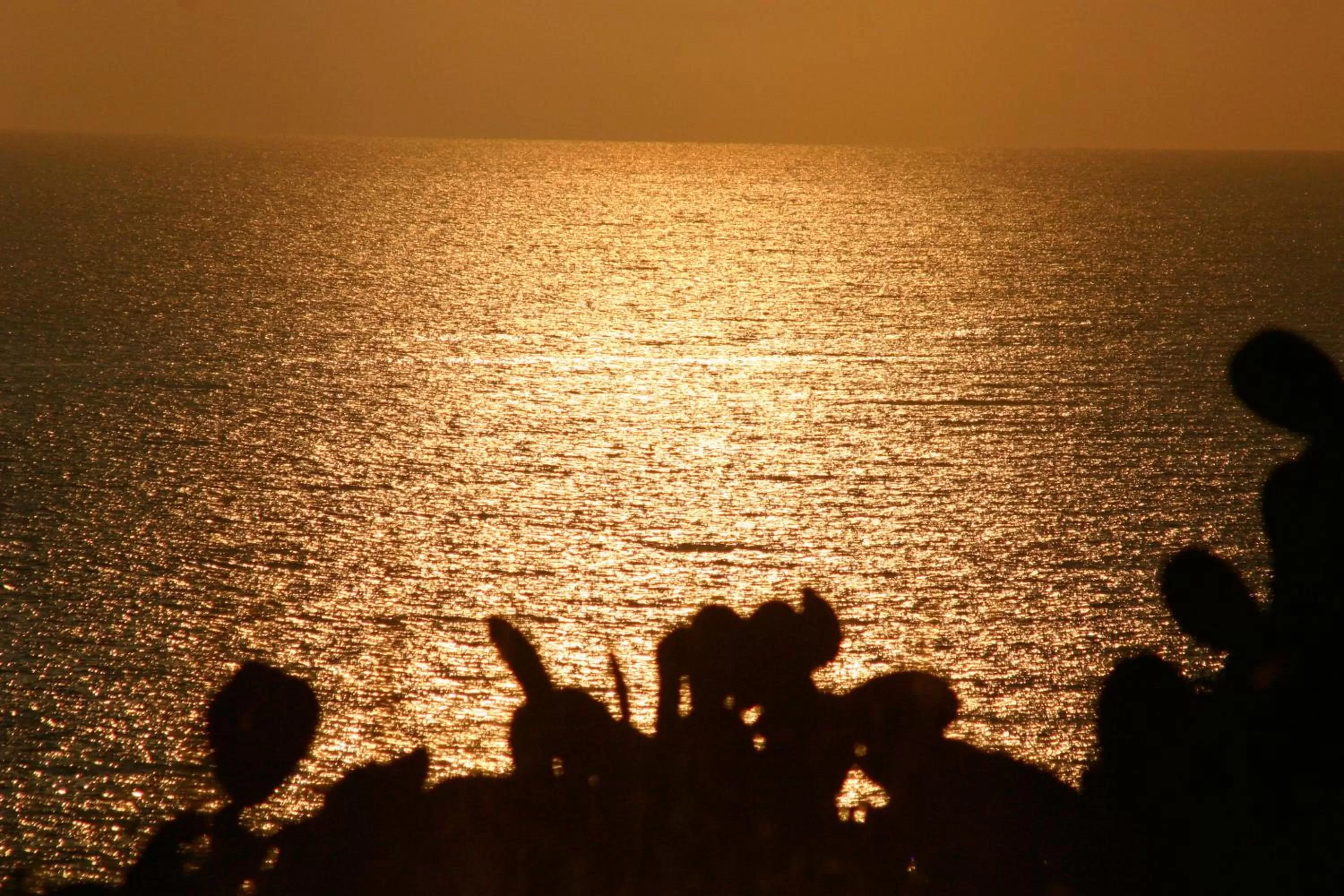 Area and facilities in B&B Villa Nella