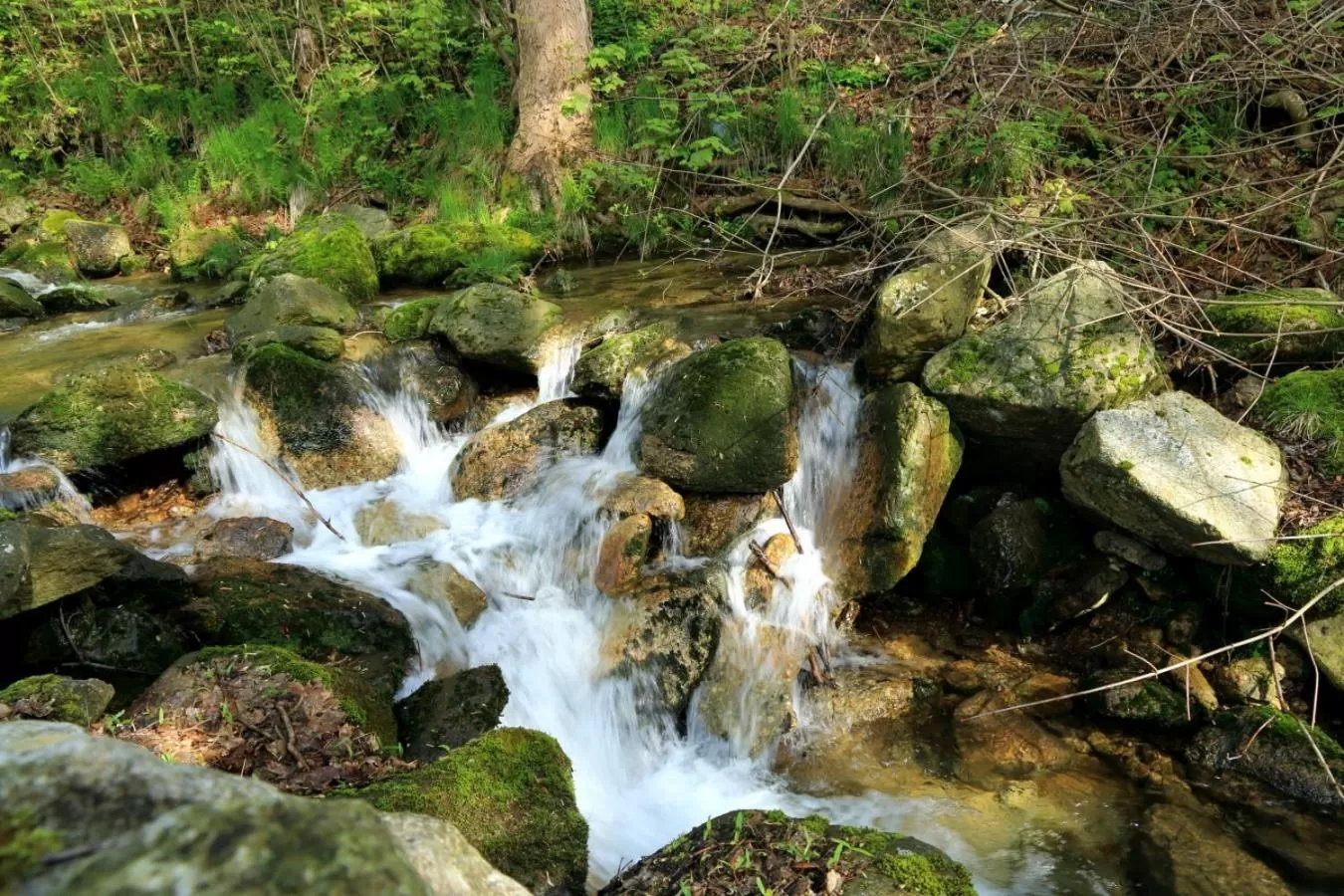 Neighbourhood in Boutique Hotel Sudetia - Medical & SPA