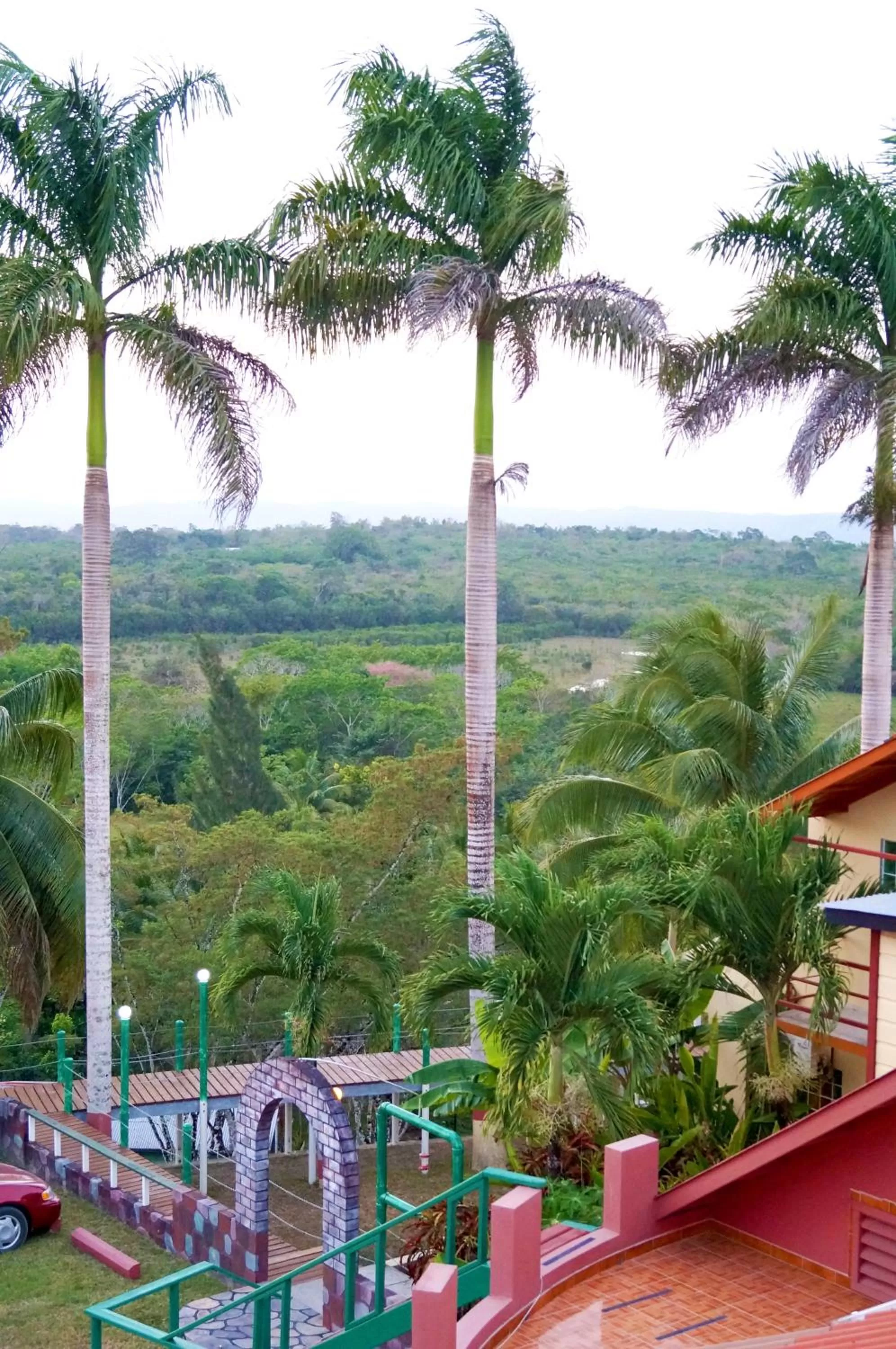 Natural landscape in Rumors Resort Hotel