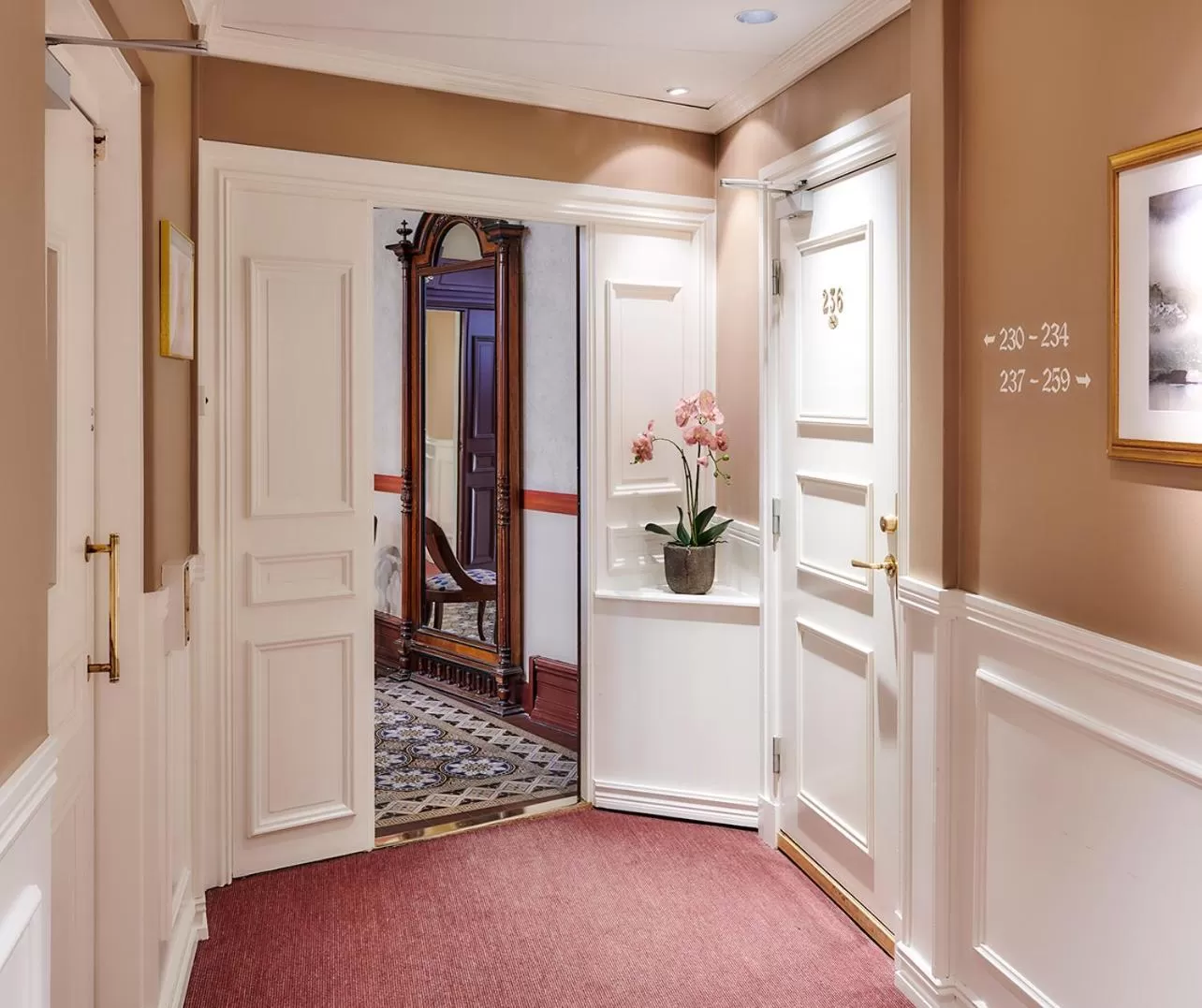 Area and facilities in Hotel Royal