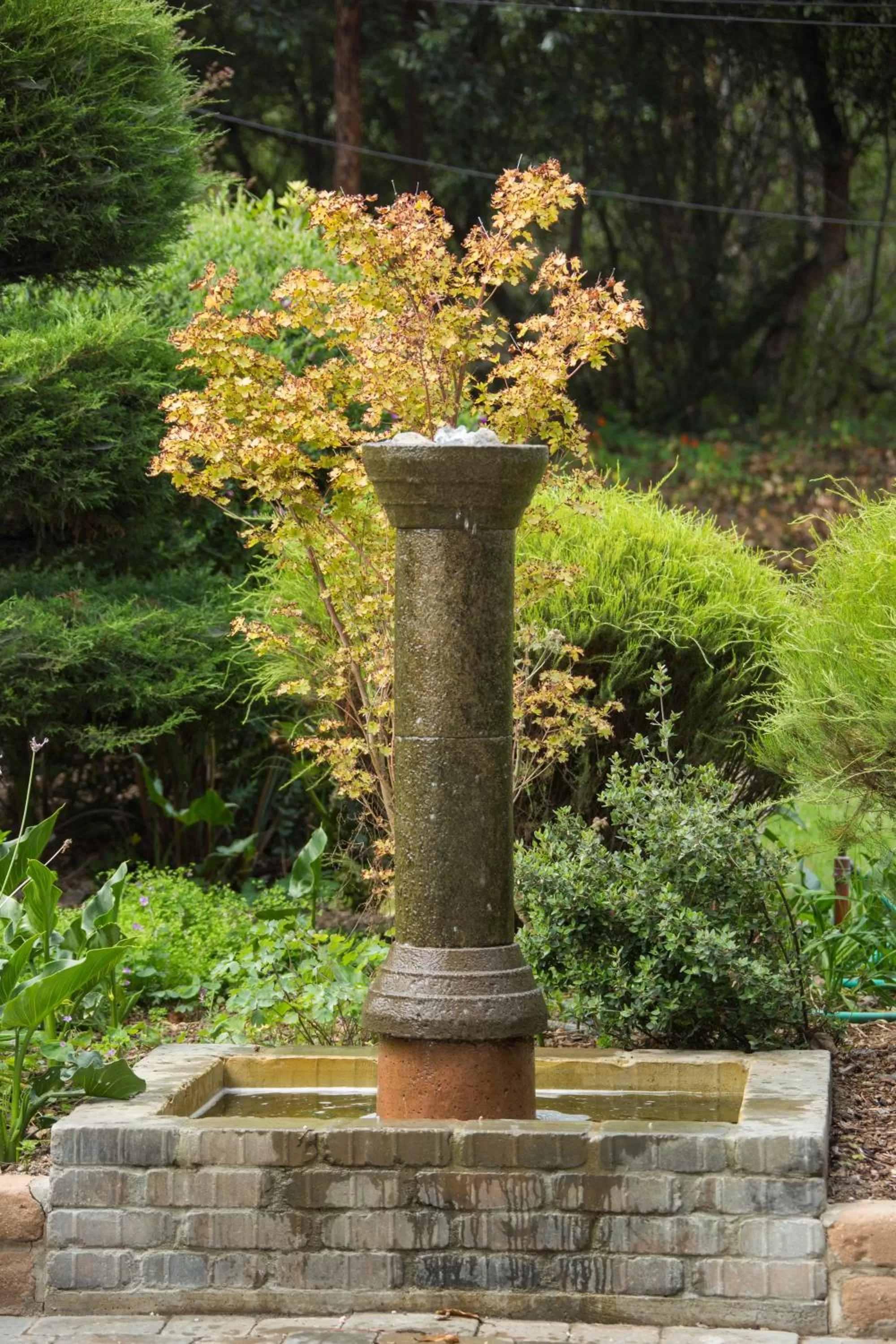 Other in Carmel River Inn & Cottages