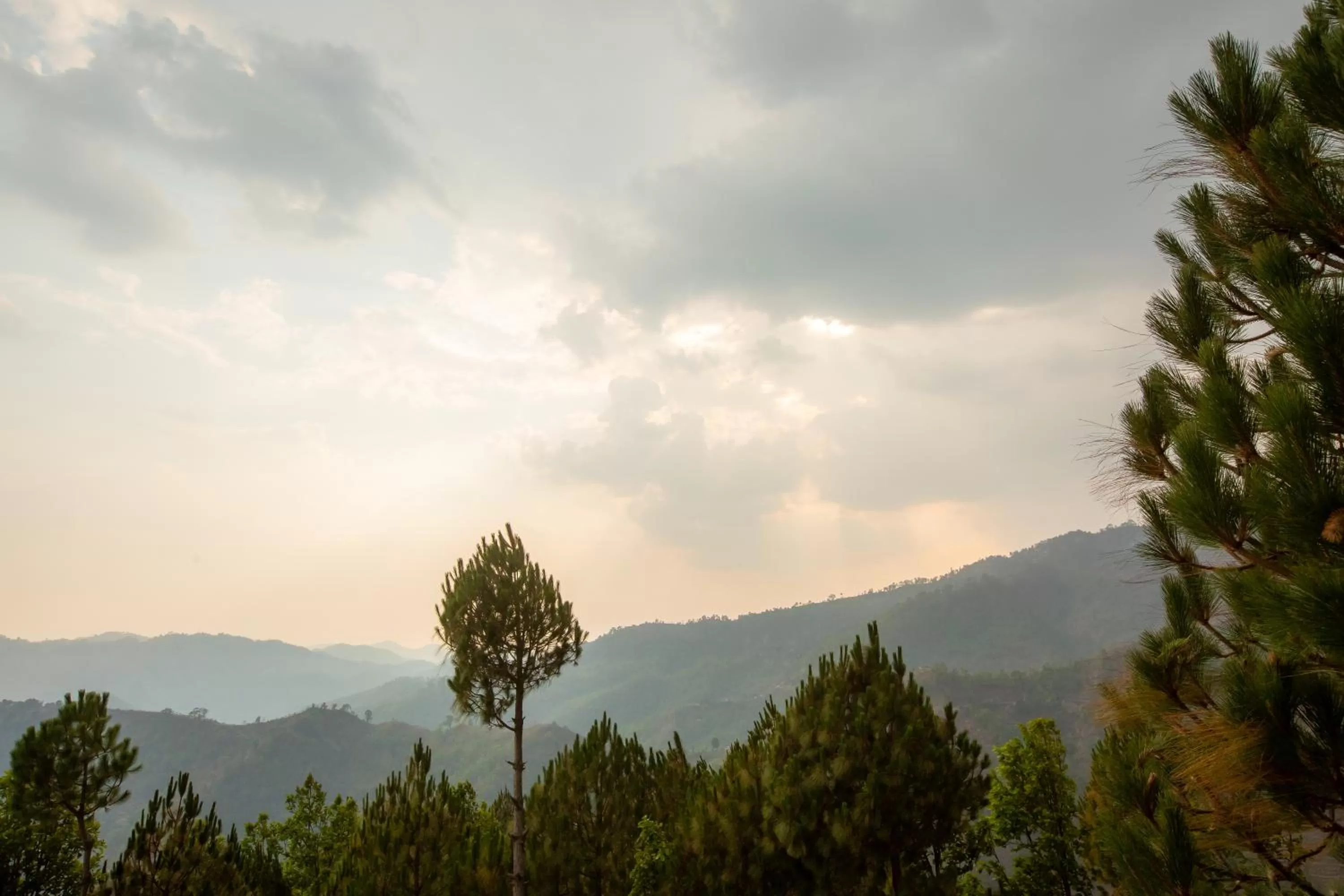 Mountain view in Blue Pine Orchards