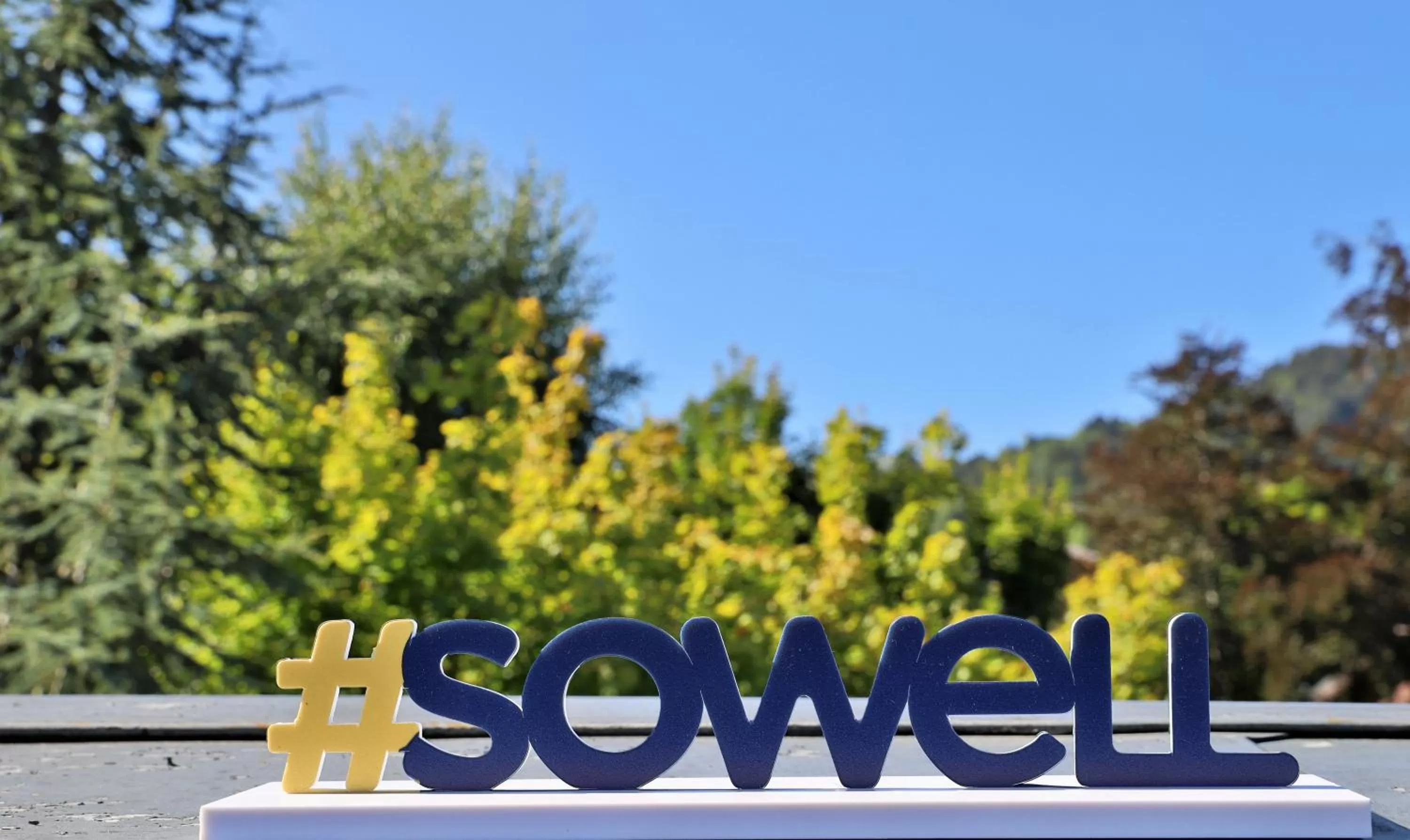 View (from property/room) in SOWELL HOTELS Mont Blanc et SPA