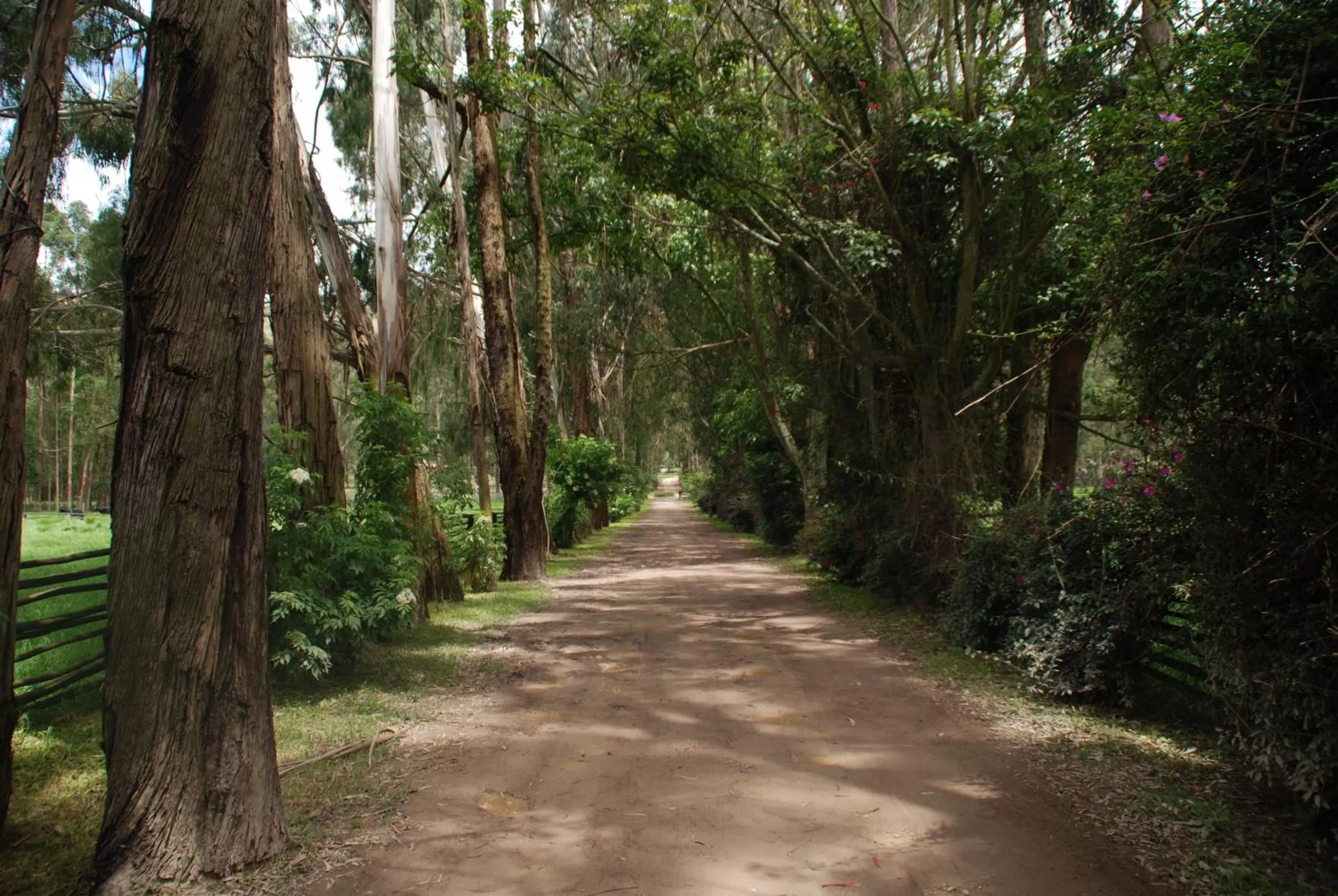 Hiking in Hacienda Suescún - 300 Años de Historia