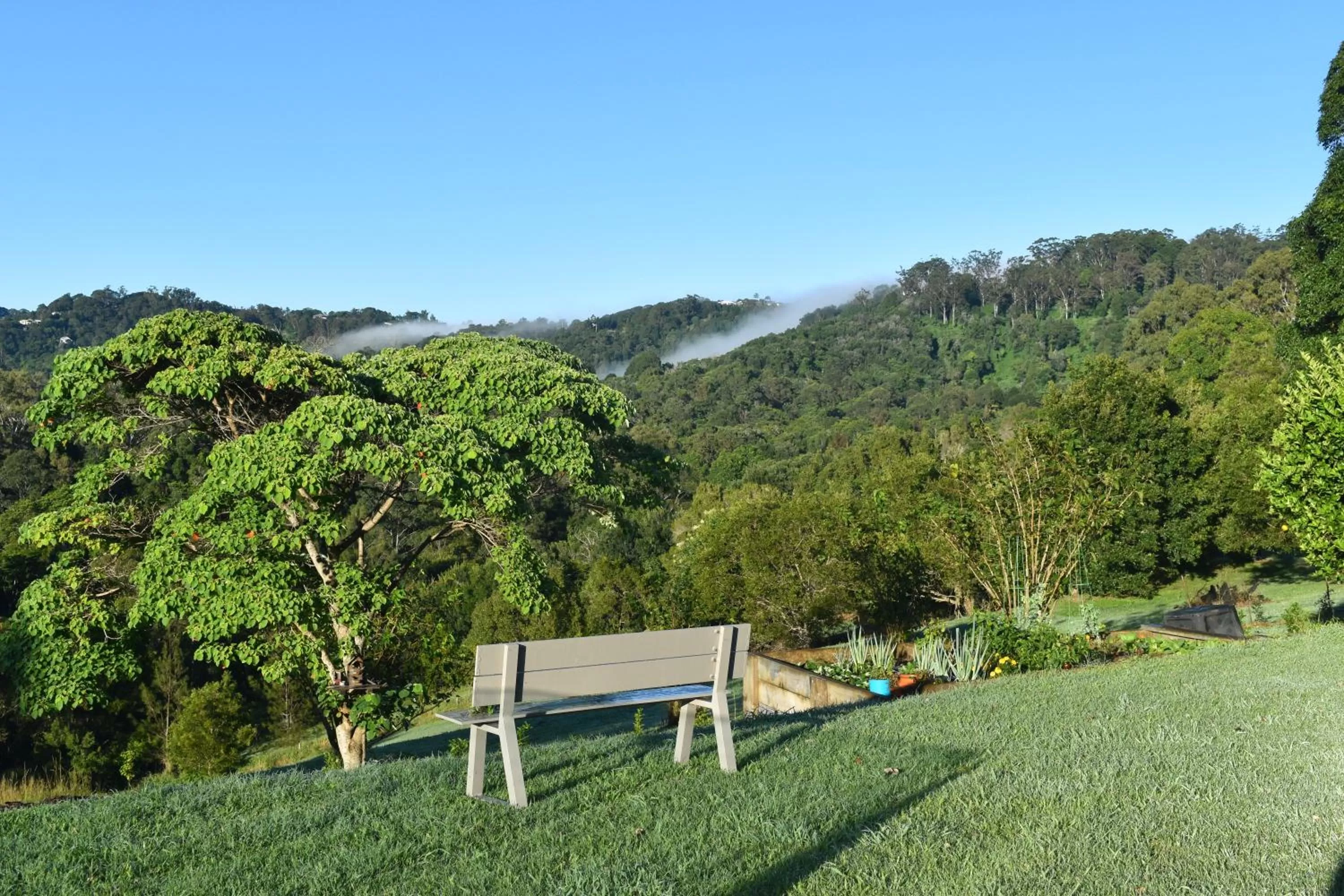 Property building in Mapleton Springs