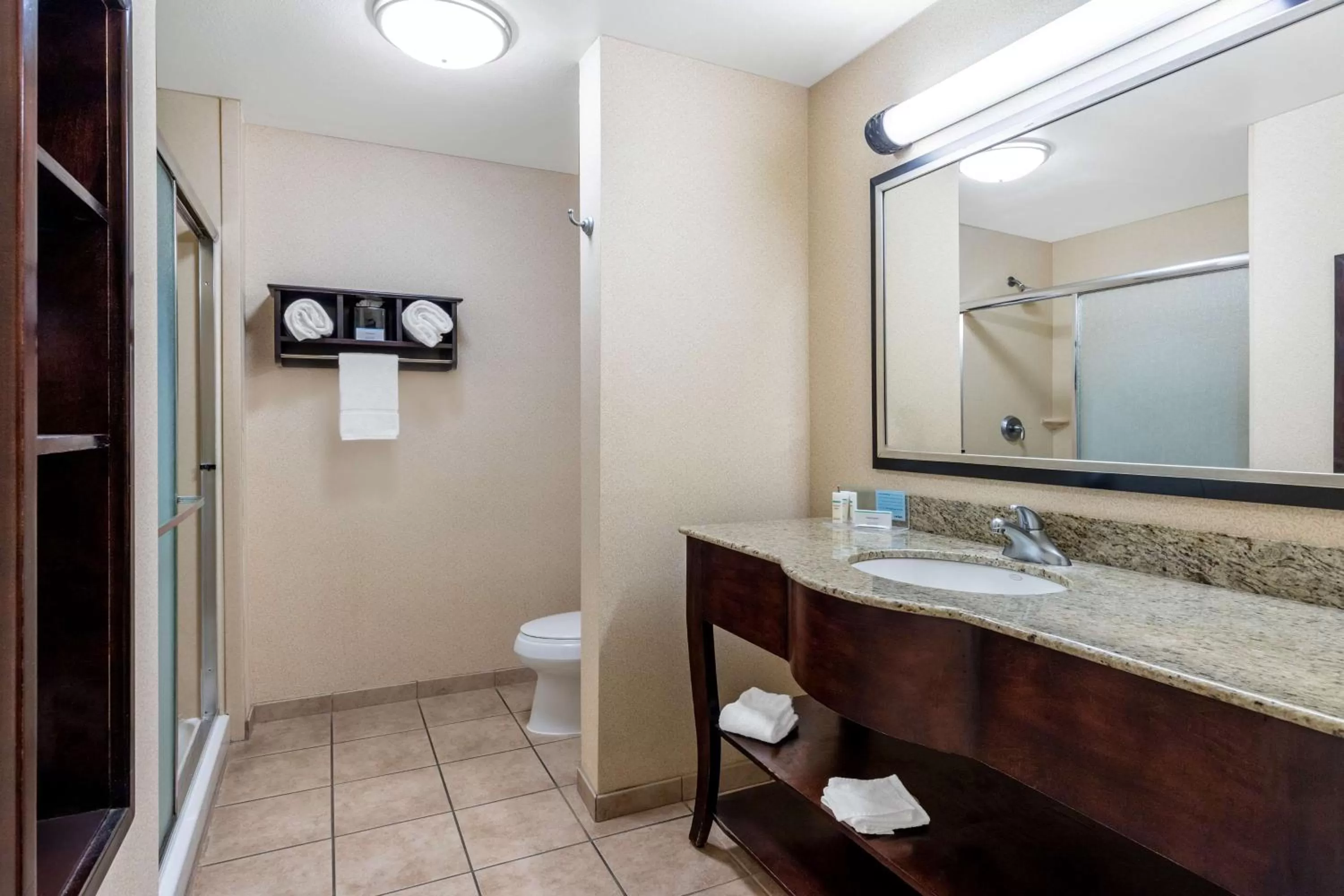 Bathroom in Hampton Inn & Suites Sacramento-Elk Grove Laguna I-5