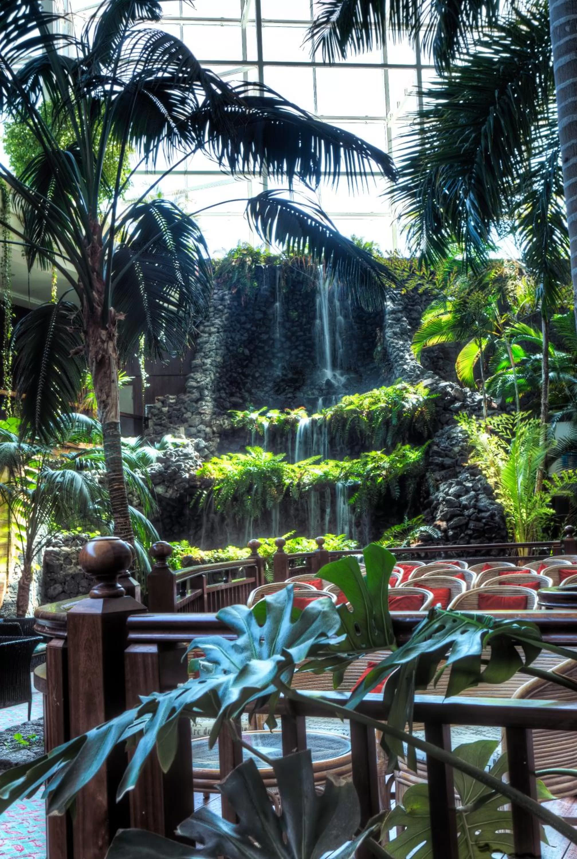 Garden in Beatriz Costa & Spa