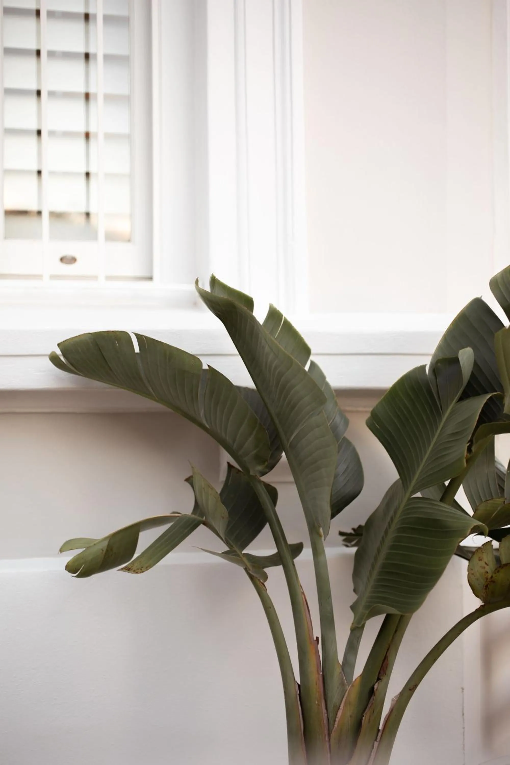 Decorative detail in NOAH House