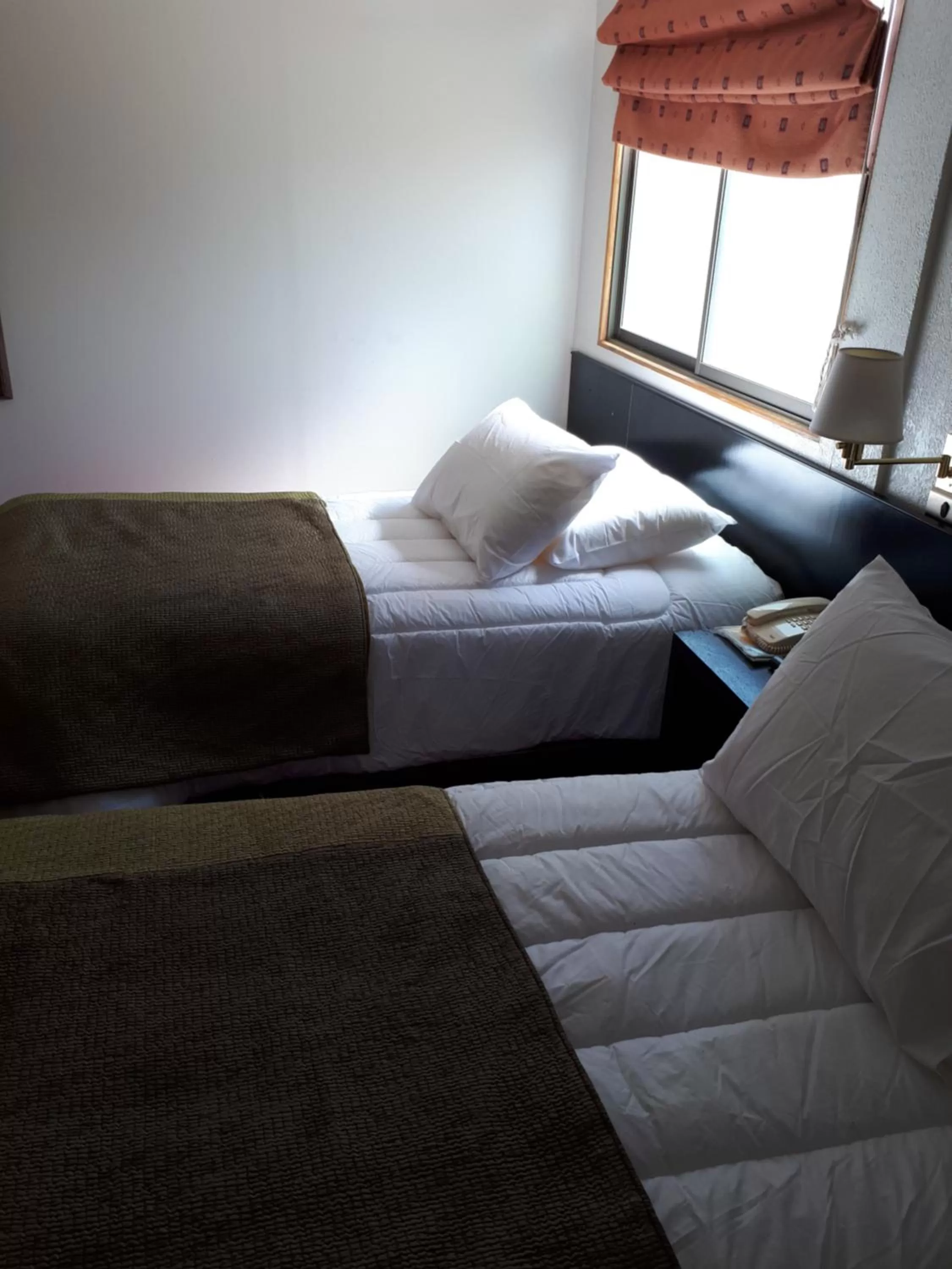 Bed in Hotel Gavina Express