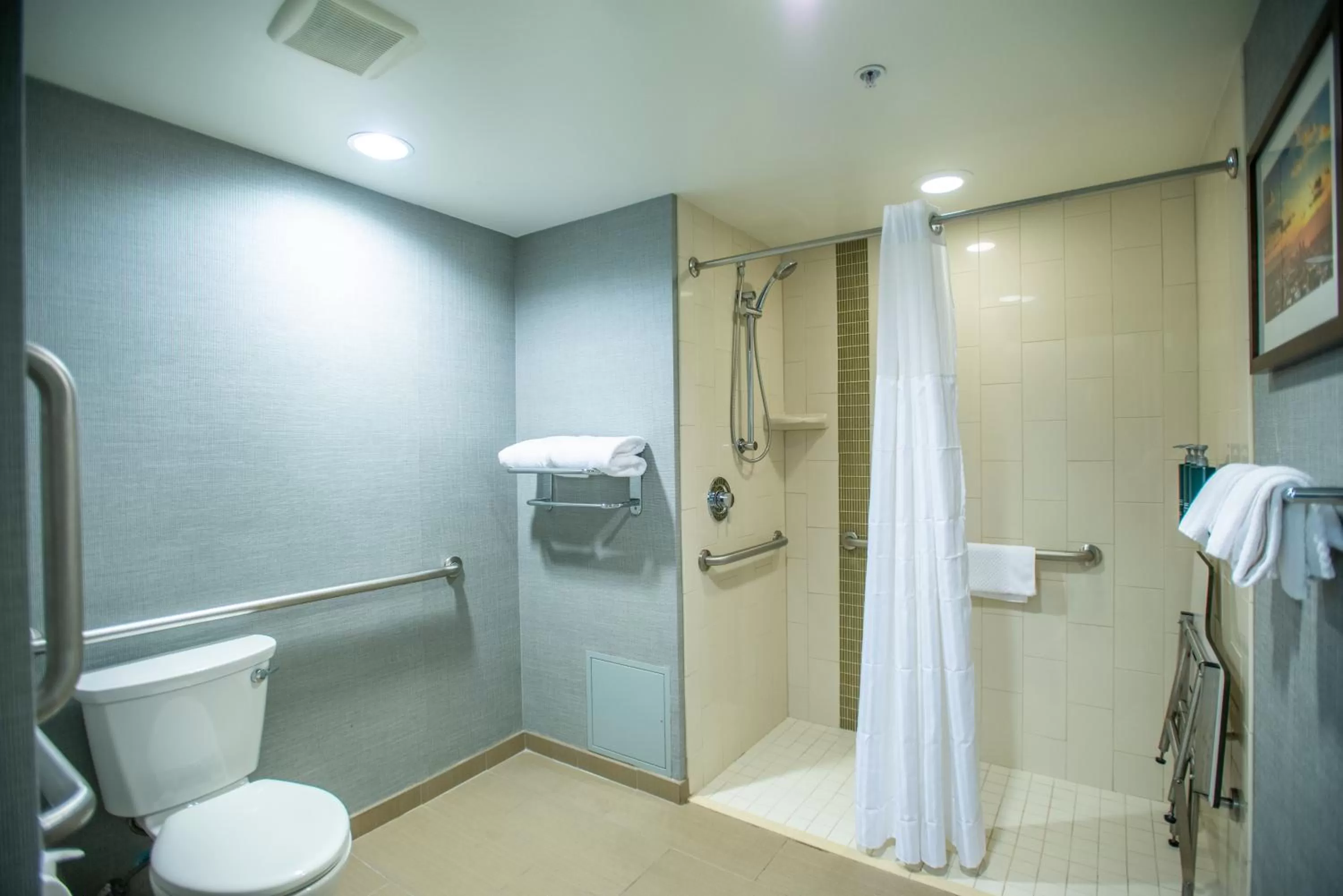 Shower in DoubleTree by Hilton Asheville Downtown