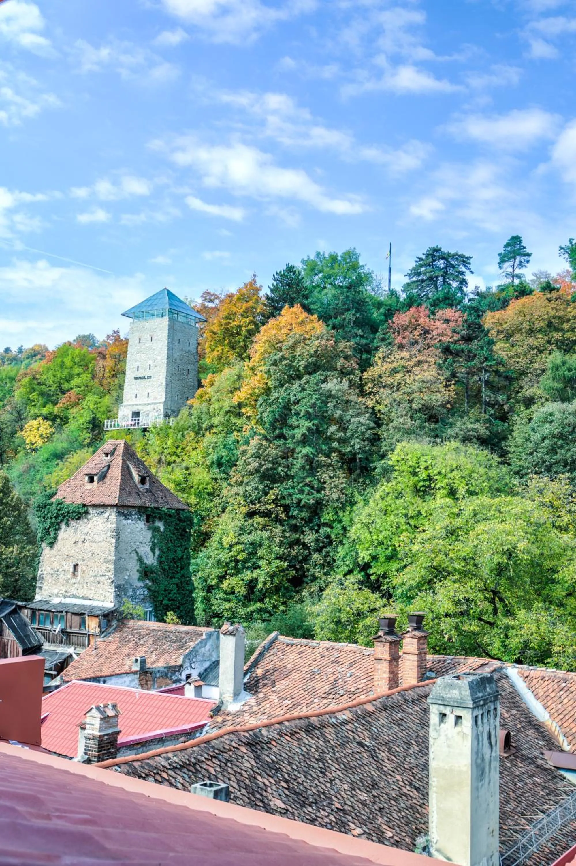 View (from property/room) in Residence Central Annapolis