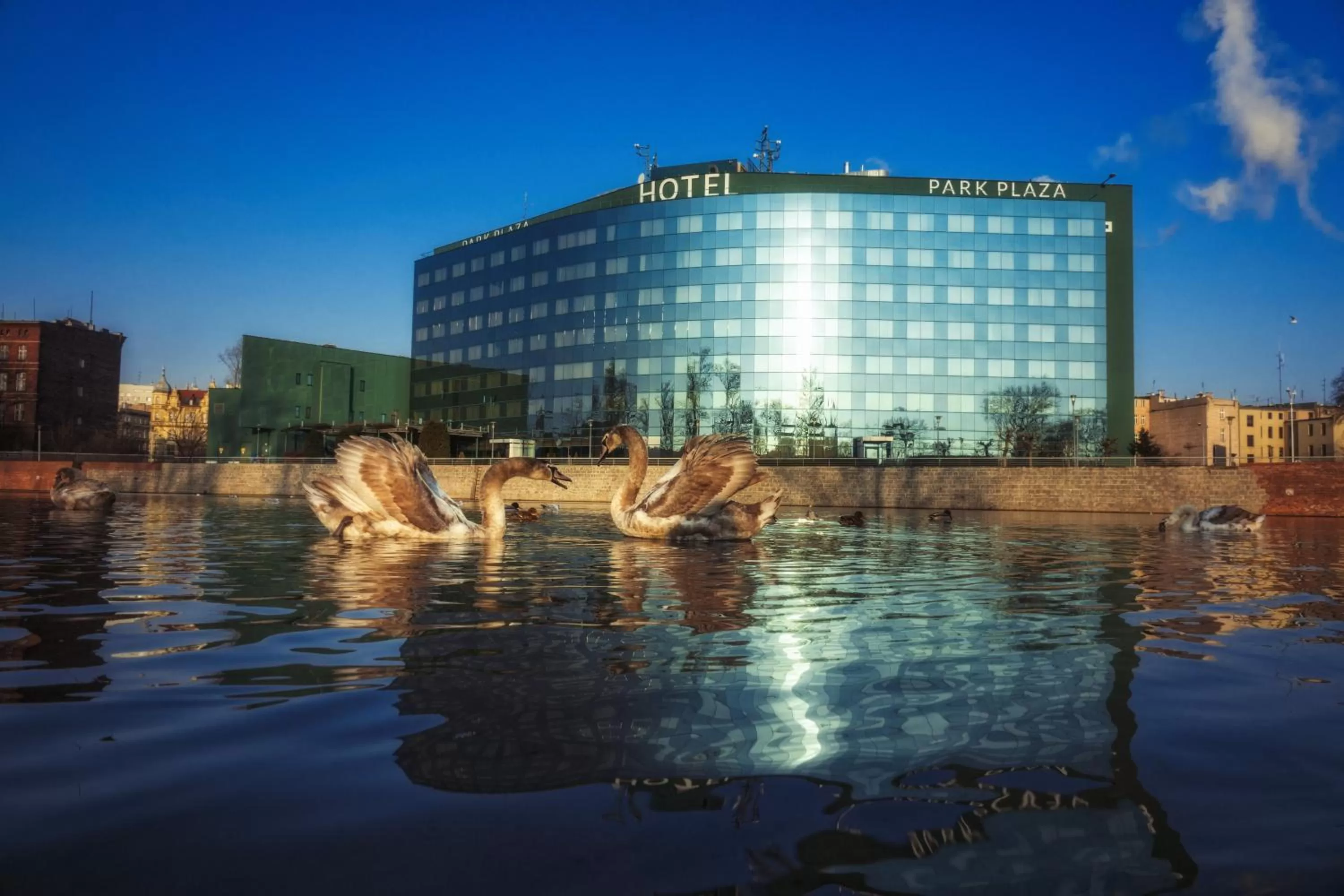 Property building in HP Park Plaza