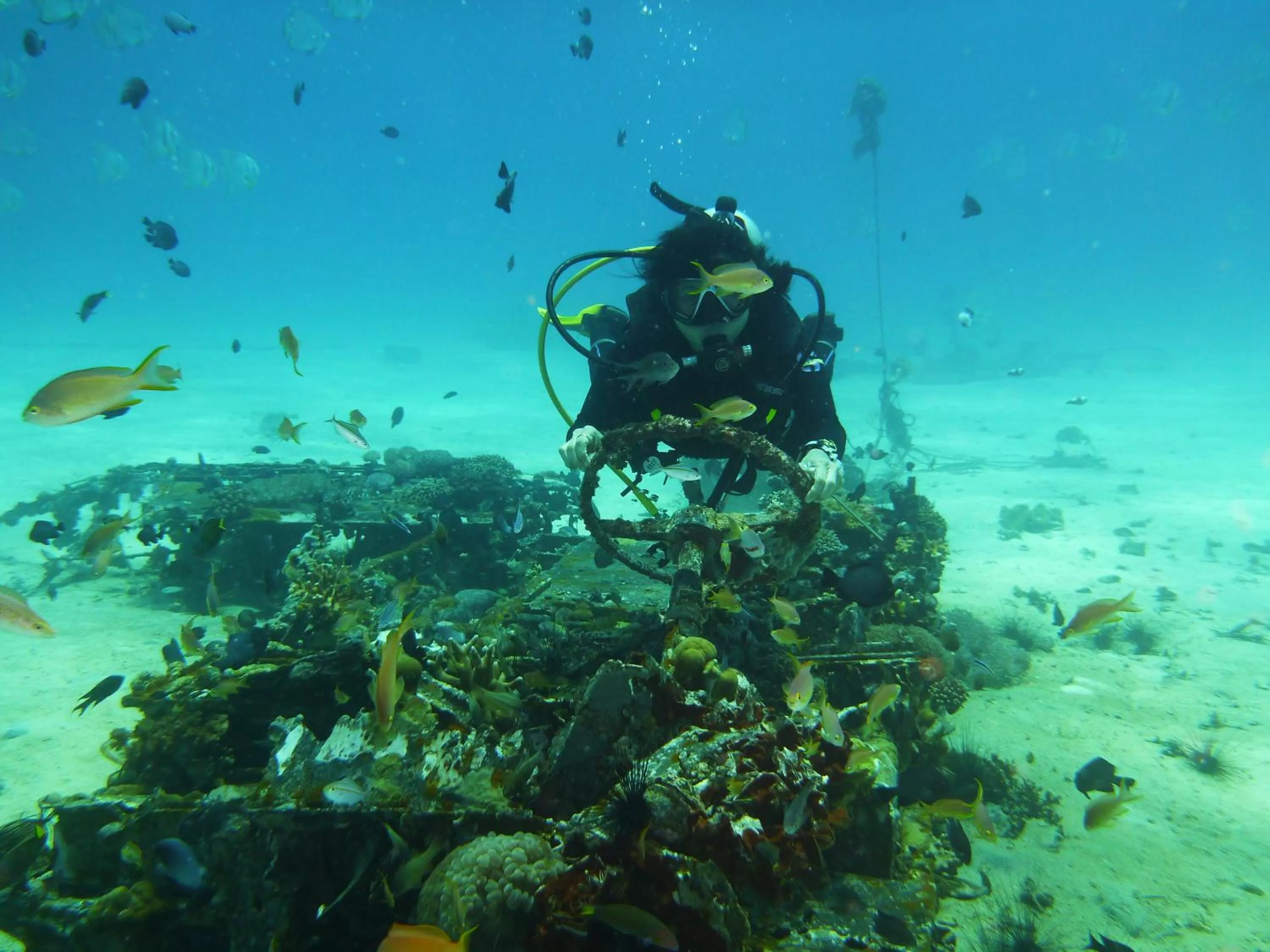 Diving in Malapascua Exotic Island Dive Resort