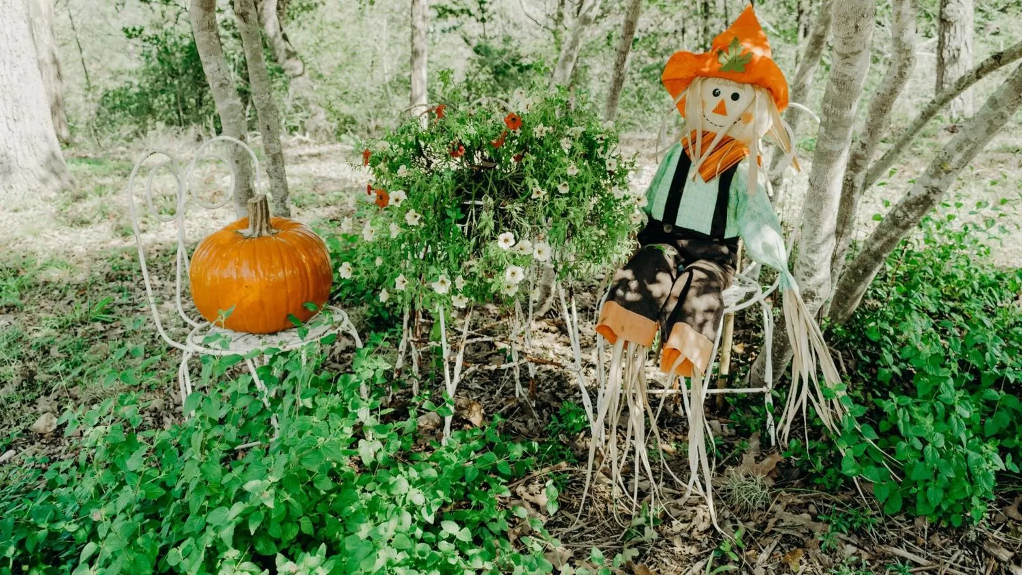 Natural landscape in Casa del Rio Bed and Breakfast