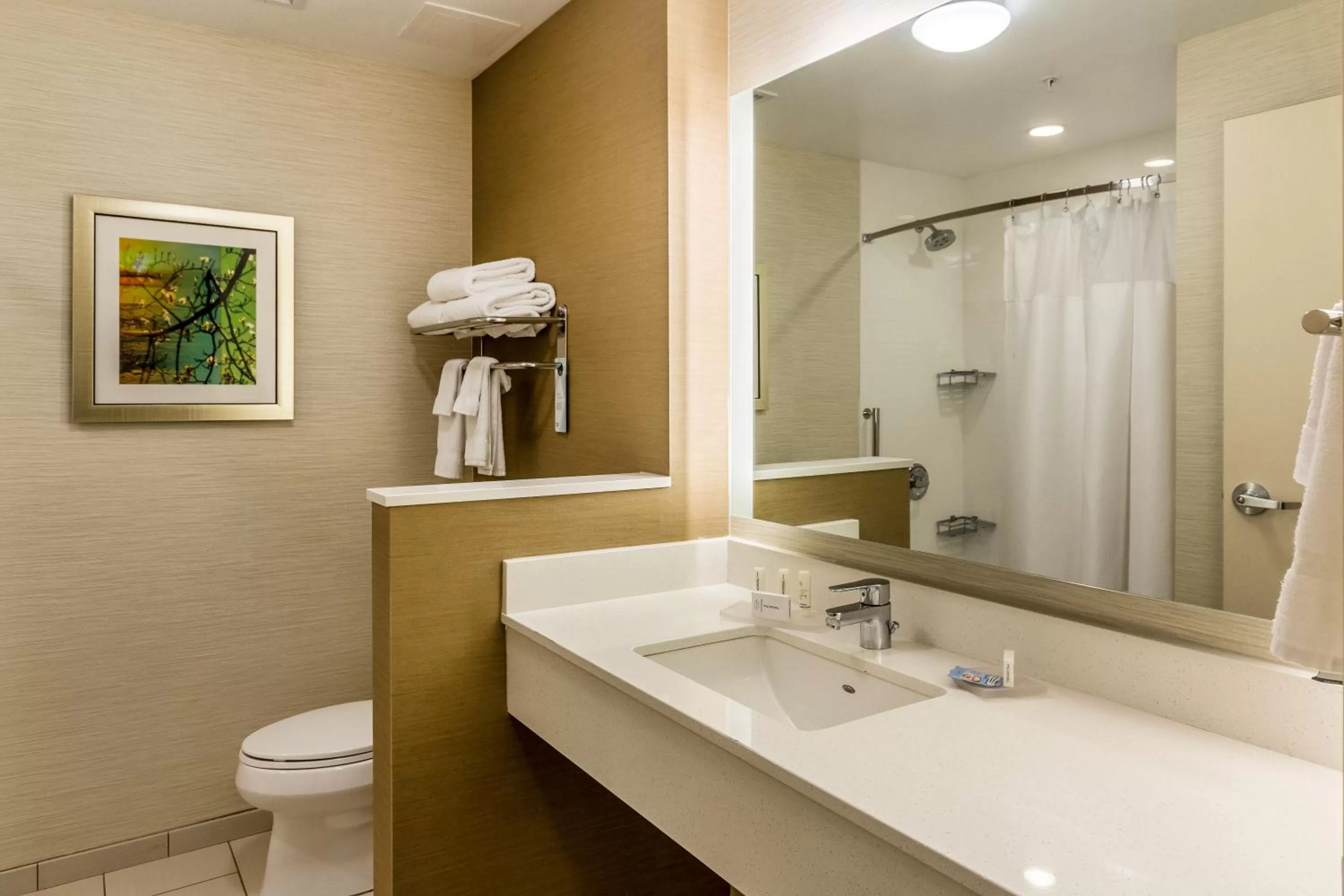 Bathroom in Fairfield Inn & Suites by Marriott Butte