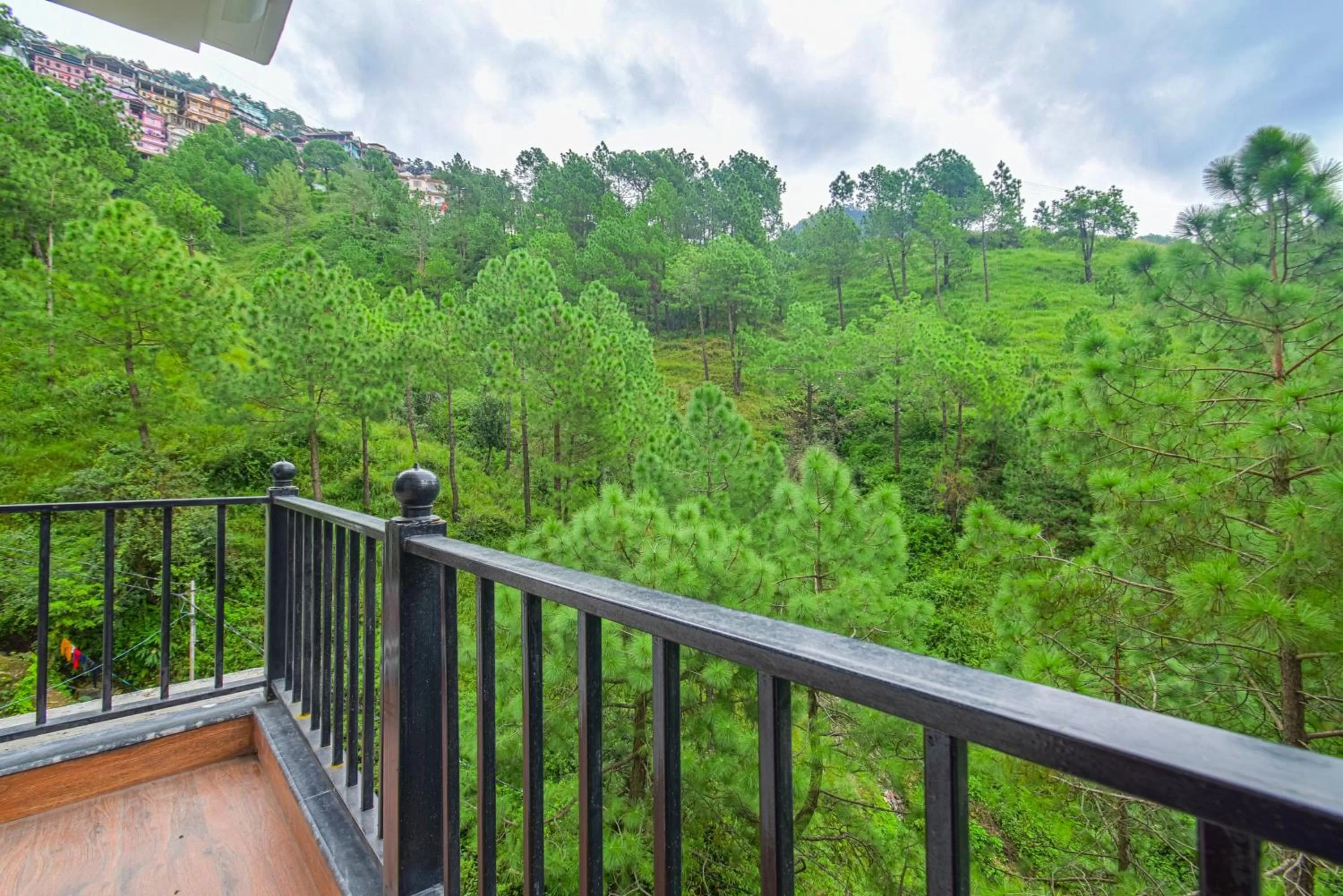 Balcony/Terrace in Hotel The Paal