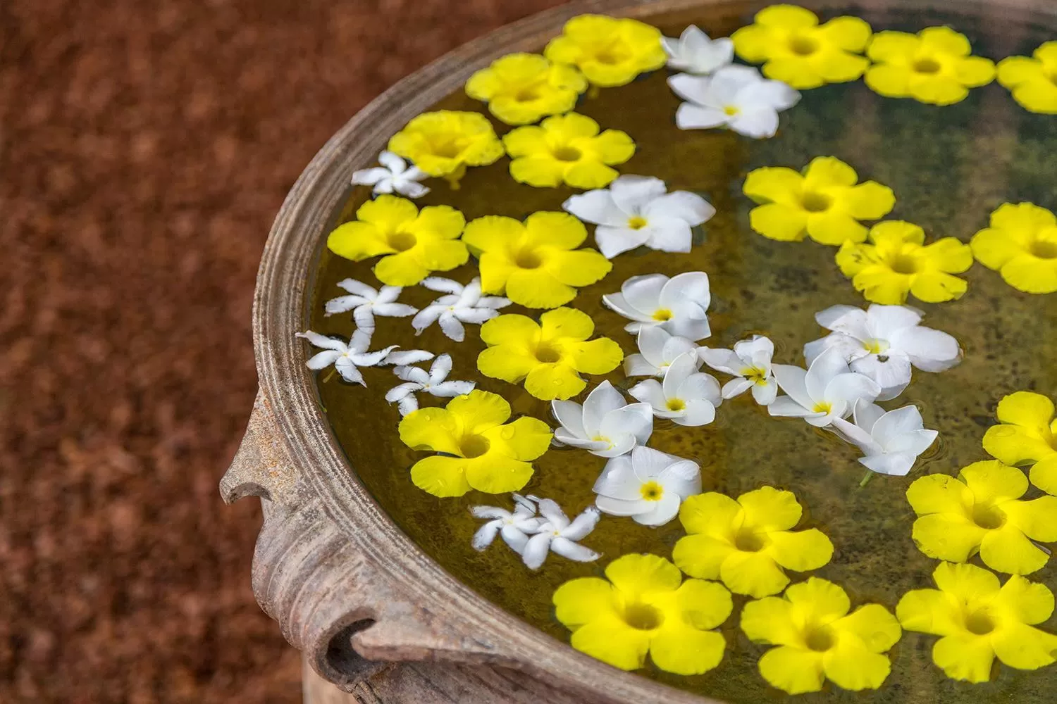 Decorative detail in Villa Atulya at Ocean's edge