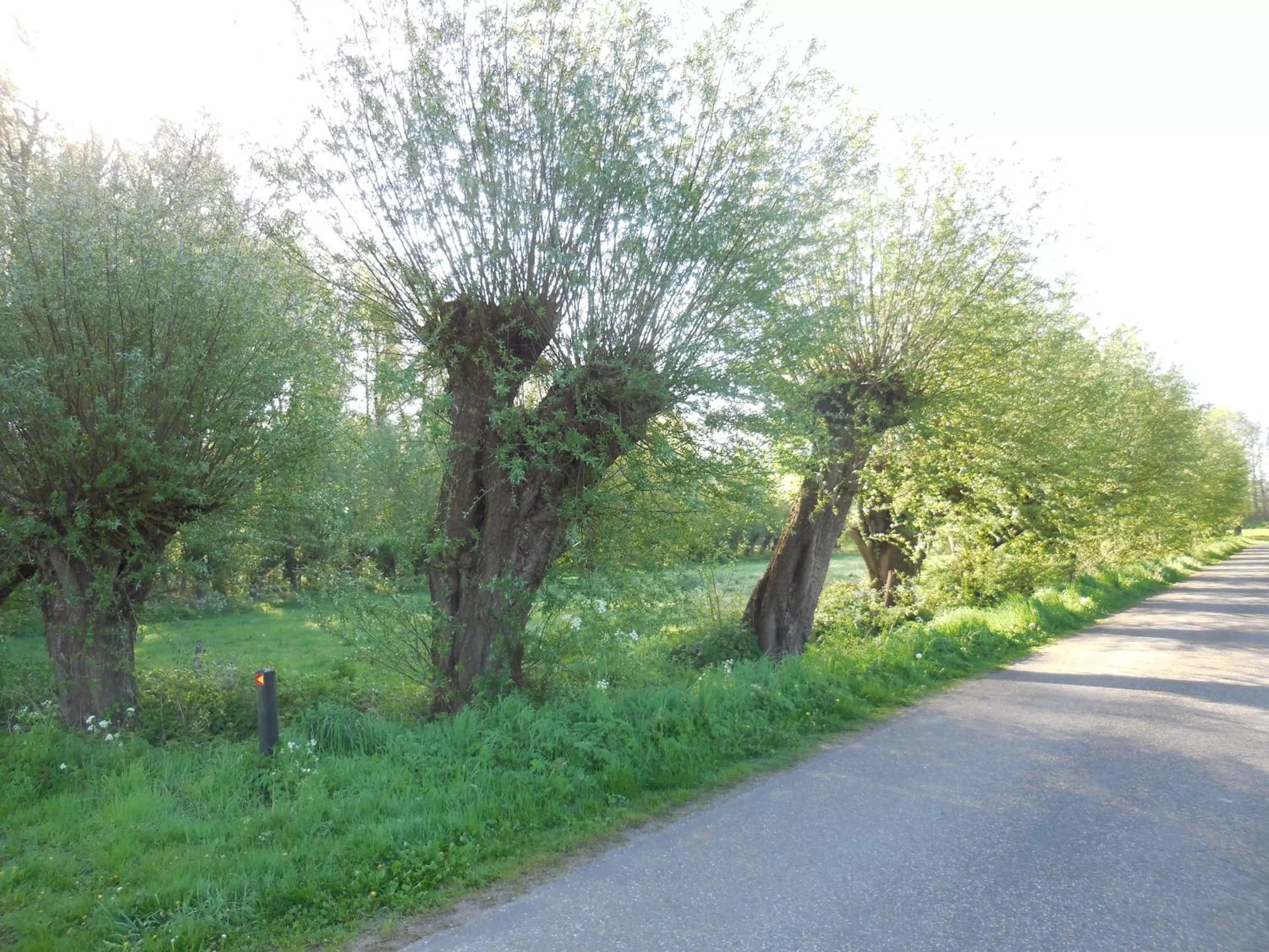 On site in B & B " De 7 Sprong "