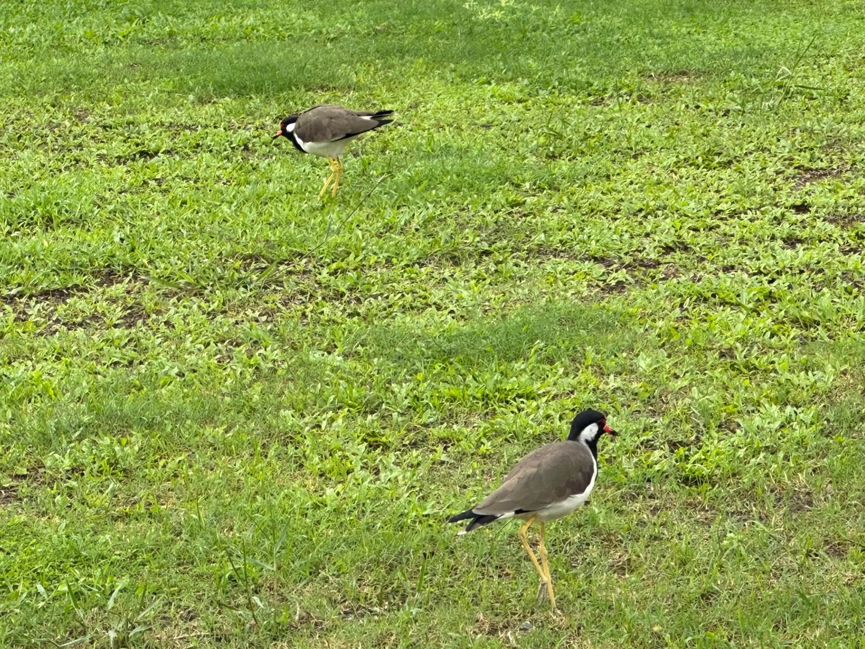 Natural landscape in Amaluna Resorts
