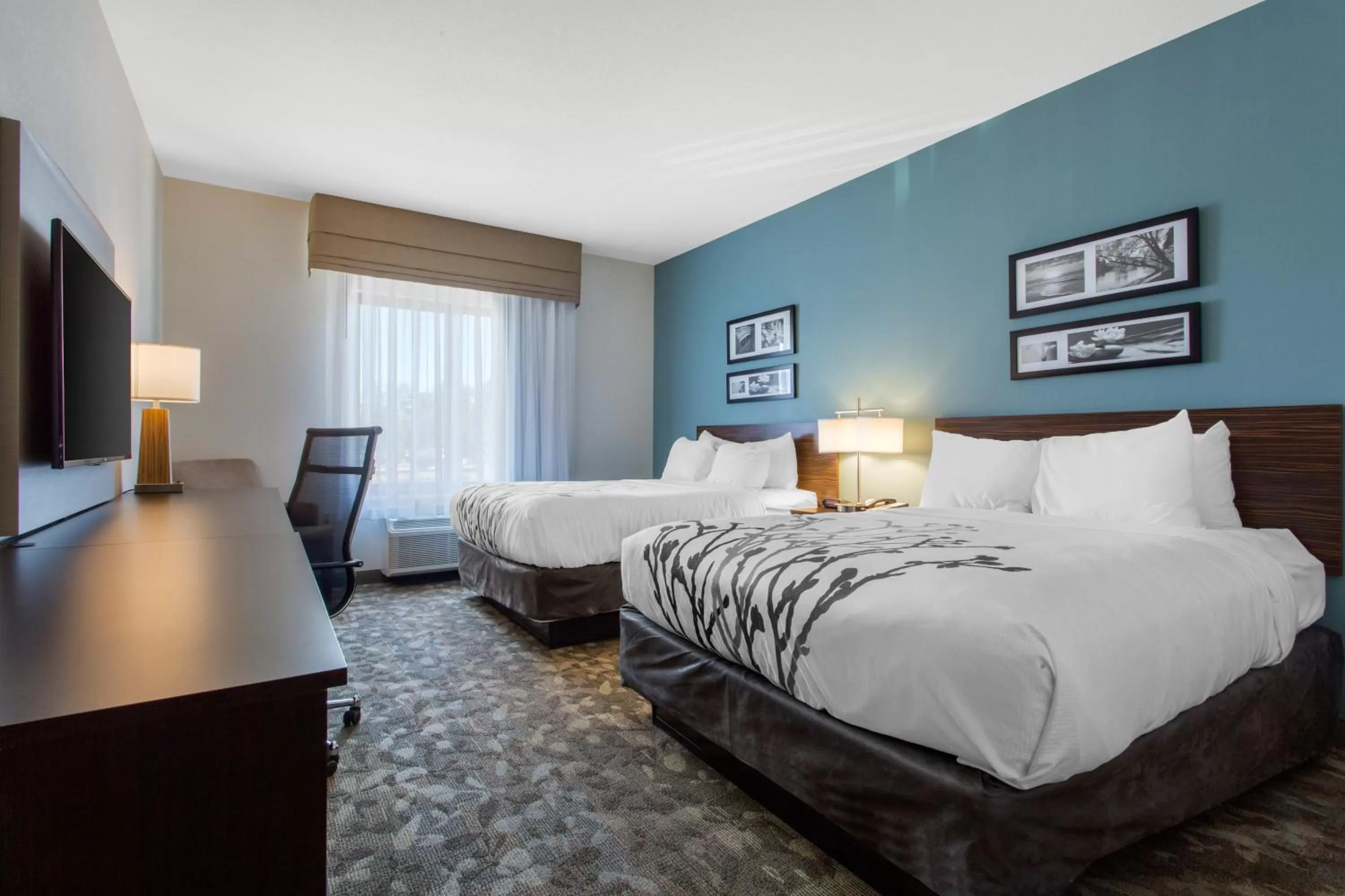 Photo of the whole room, Bed in Sleep Inn & Suites Middletown - Goshen