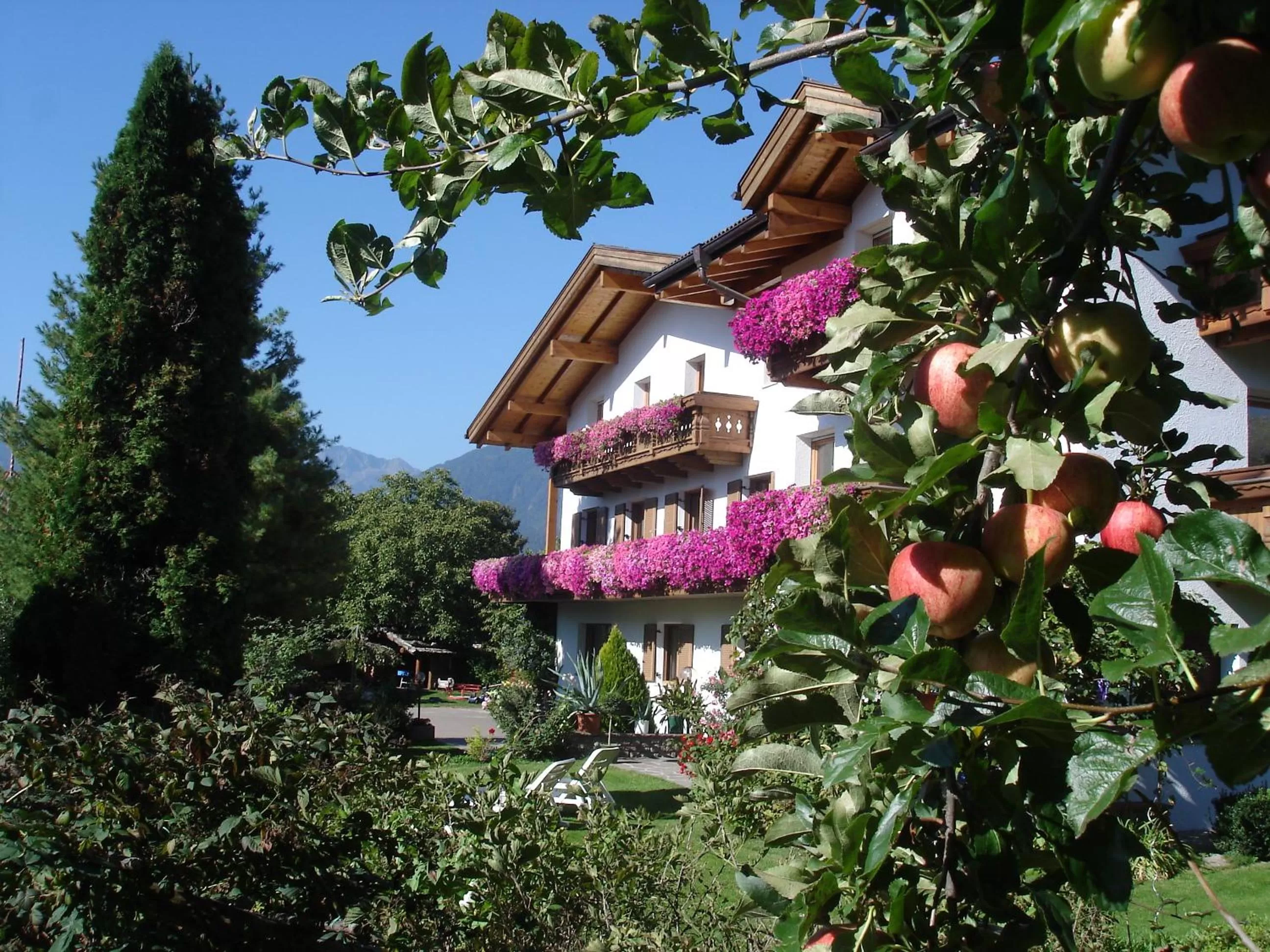 Garden view in Residence Klementhof