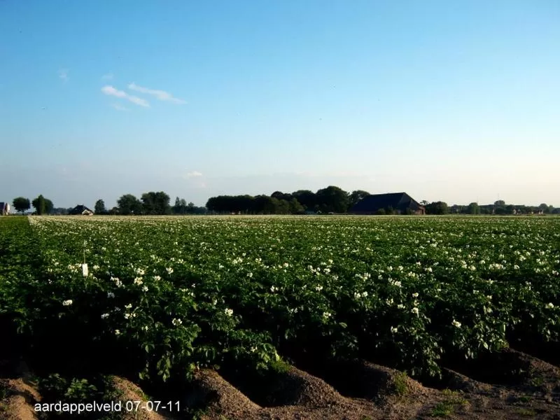 Natural landscape in de Twee Paardjes