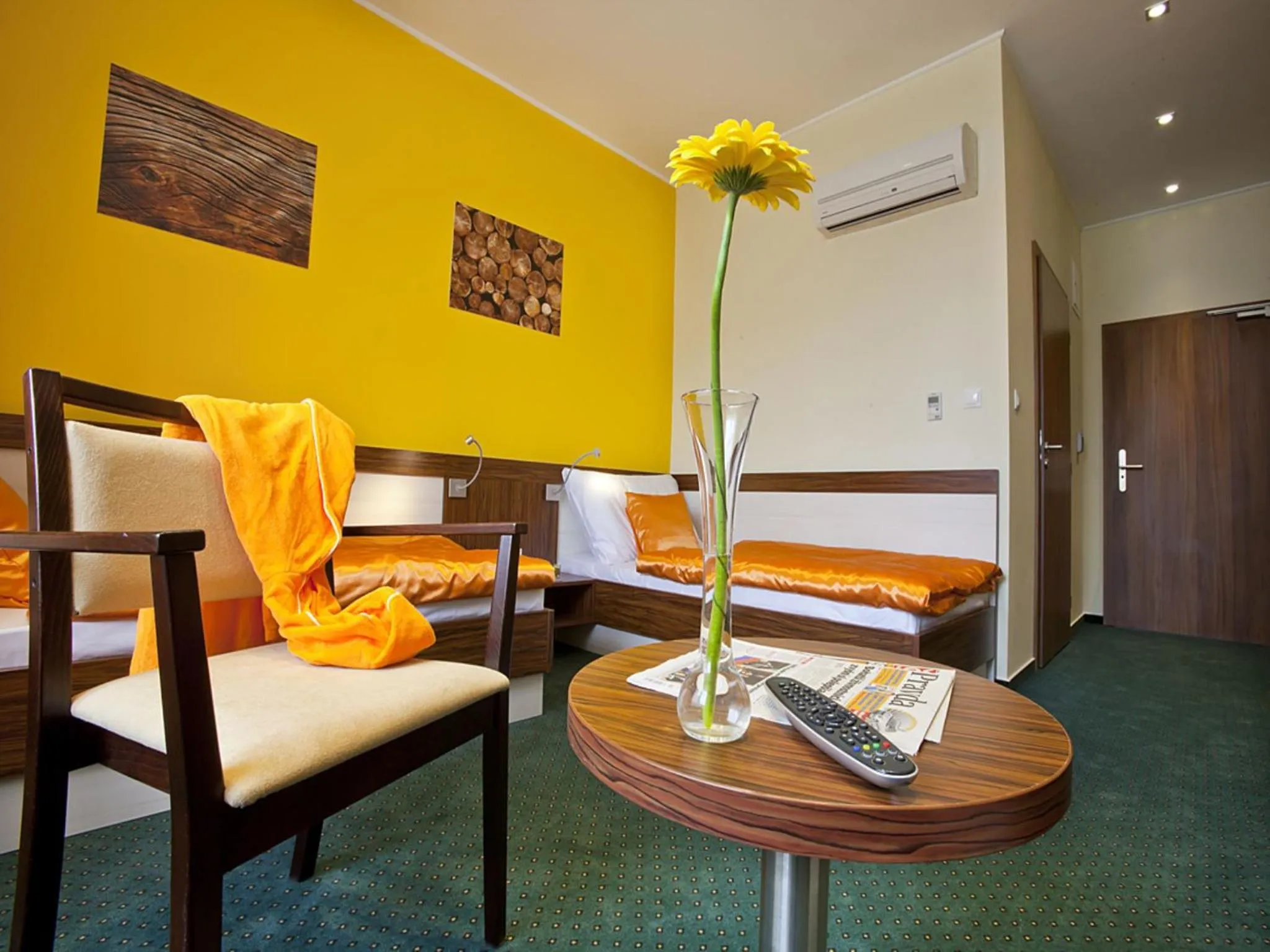 Photo of the whole room in Hotel Viktor