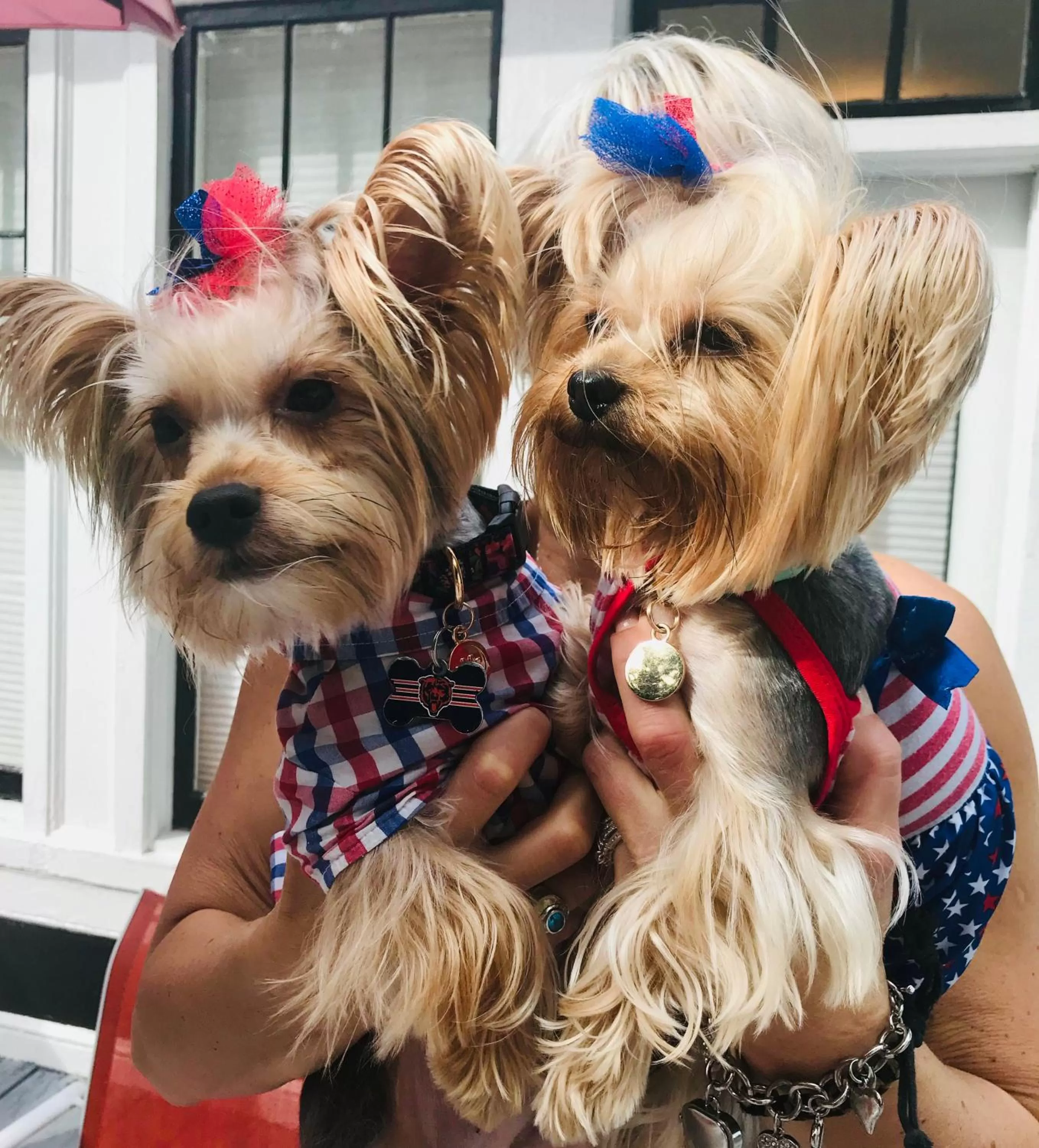 Guests, Pets in Bluefield Inn, a Select Registry Propery